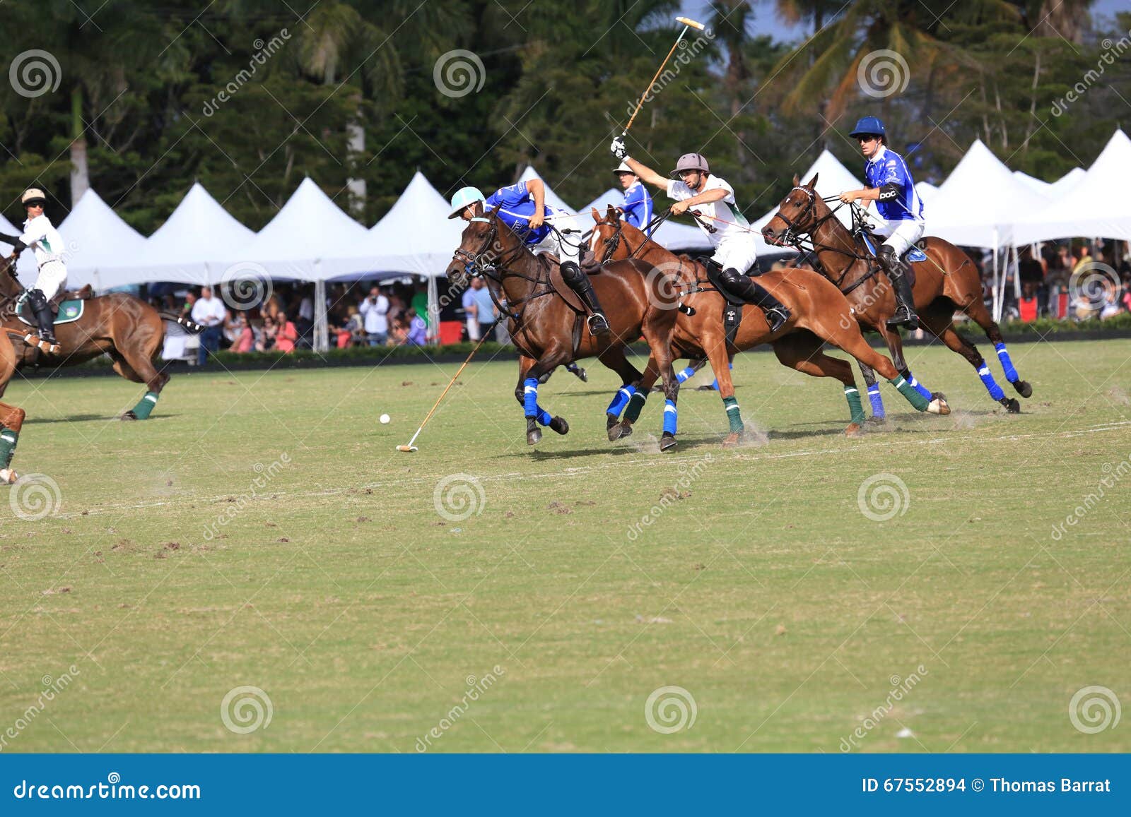 Polo Match. WELLINGTON, FLORIDA/USA - febrero, 21, 2016: Partido rápido del polo de la acción el 21 de febrero de 2016 en Wellington, la Florida, con los jinetes y los caballos expertos