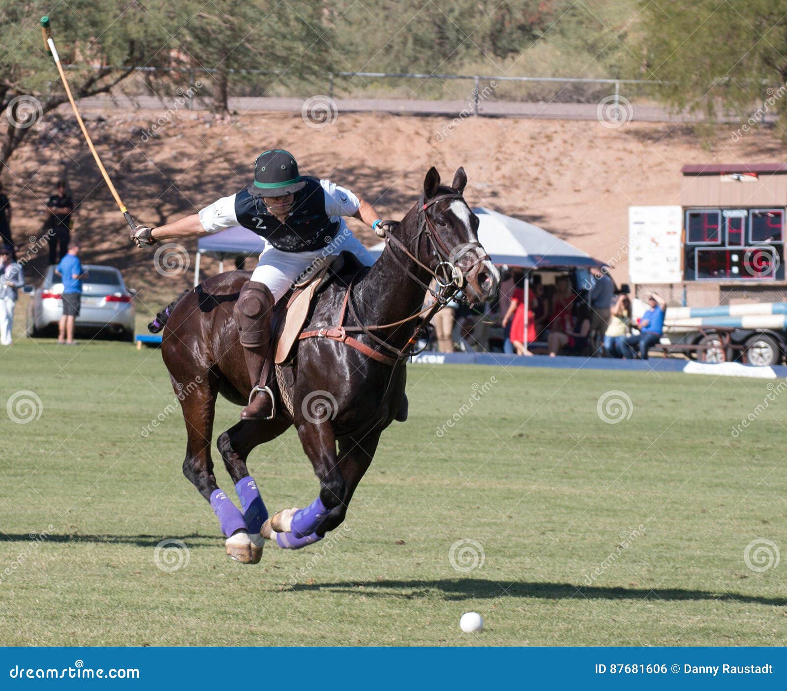 Polo Player Et Polo Pony Horse Photo éditorial Image du vert, cheval 87681606