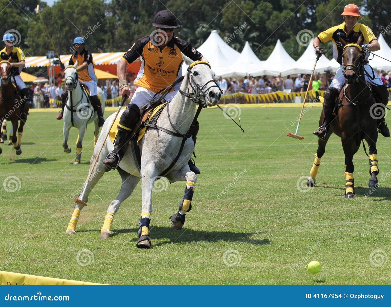 Polo Players et chevaux image stock éditorial. Image du professionnel