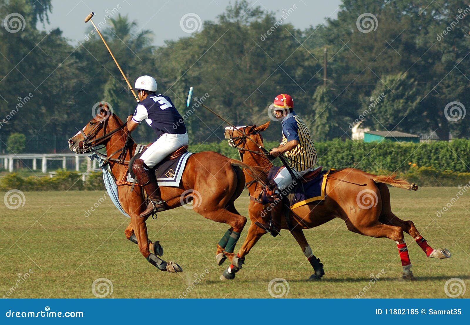 Polo Playing in KolkataIndia Editorial Image Image of polo, riding