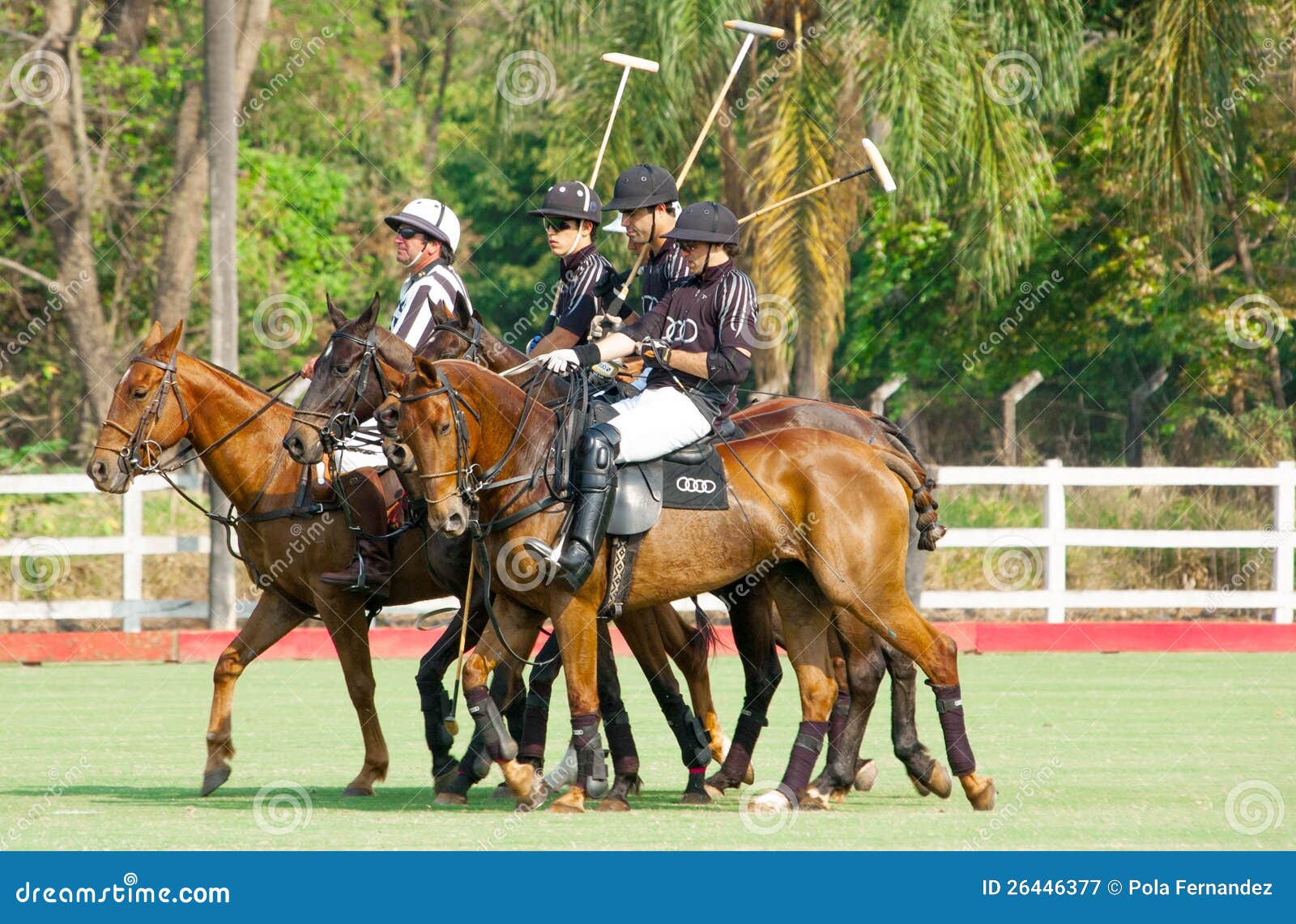 Polo sport team editorial photography. Image of field 26446377