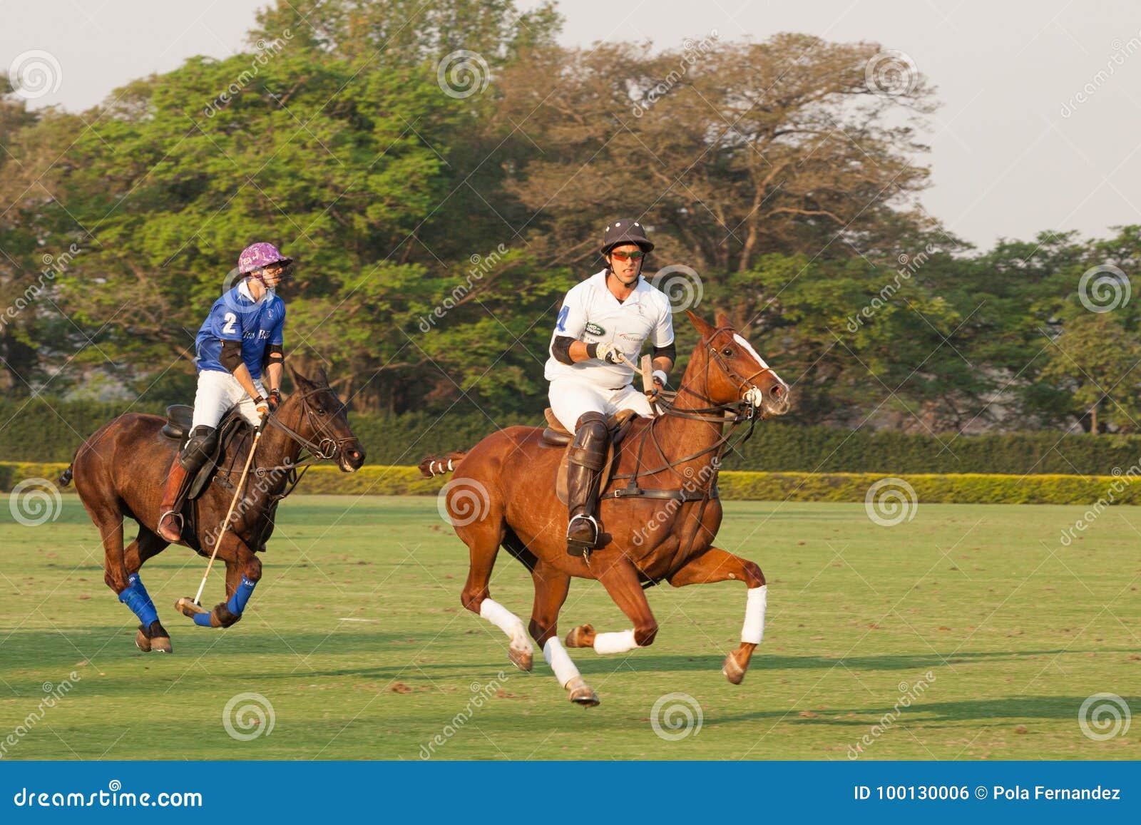 Resultado da busca por Helvetia Polo Clube