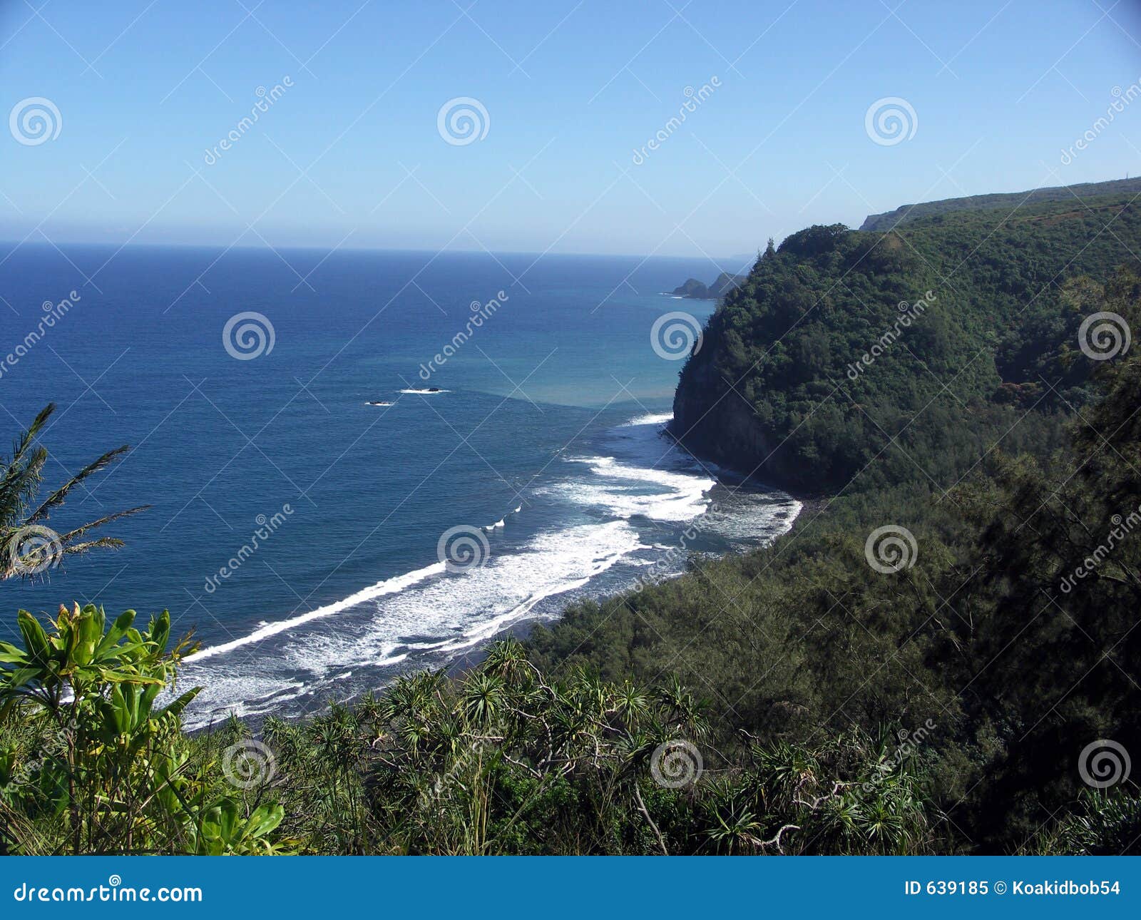 pololu valley lookout