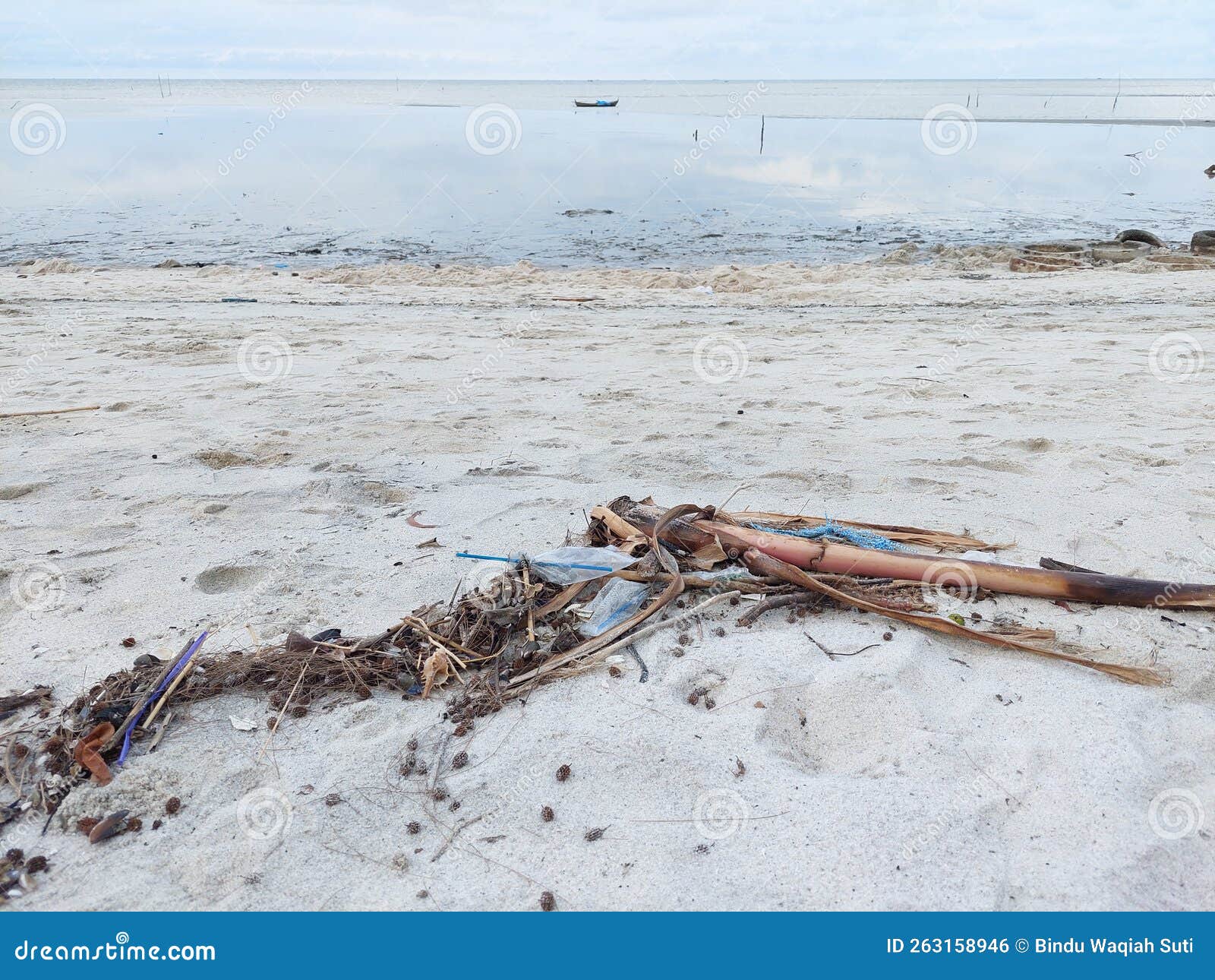 poluted beach with plastic waste, twig stranded on the beach, environmental issue, trash