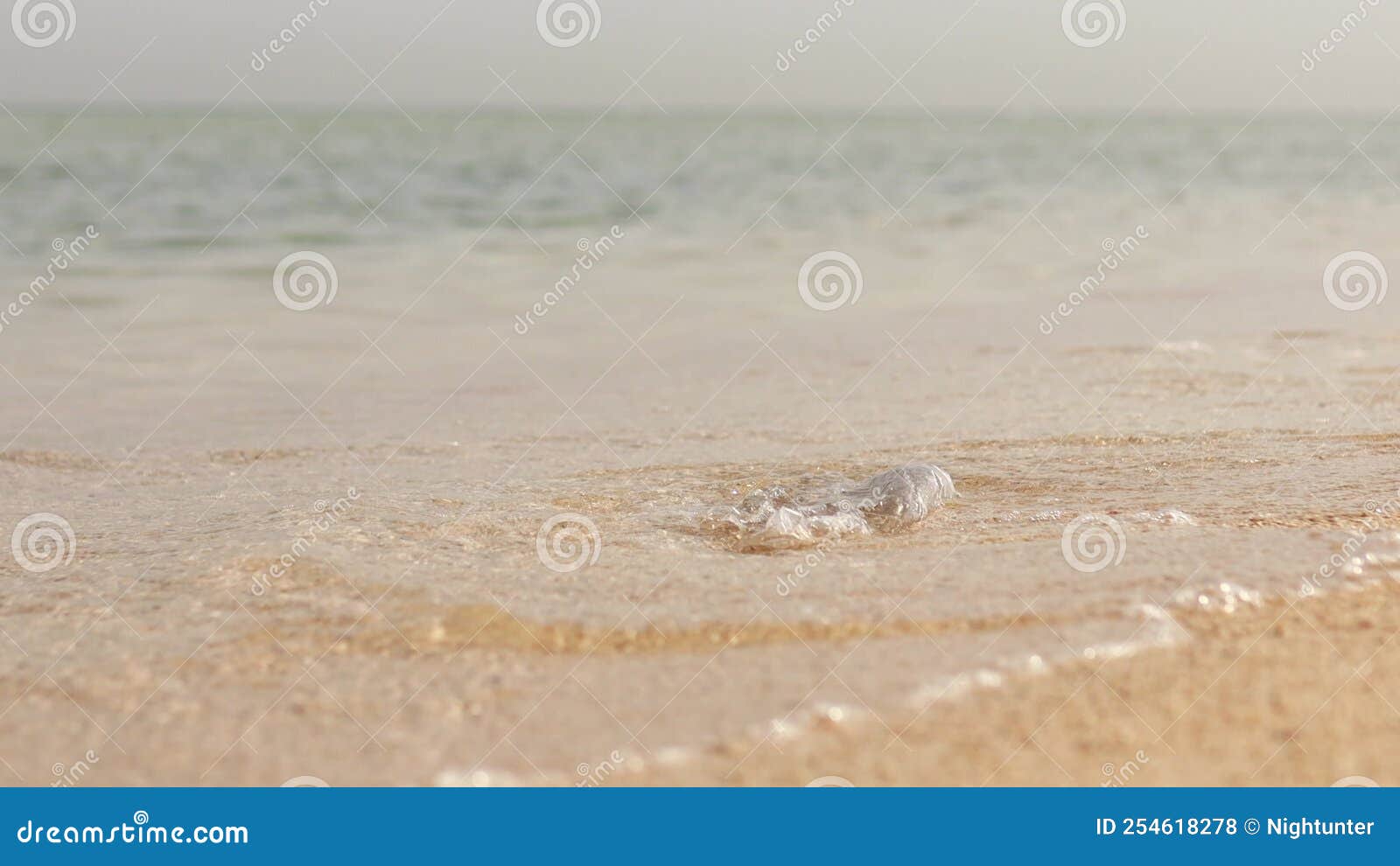 Polyethylene Bag and Plastic Bottle on Sand at Beach , Problem of