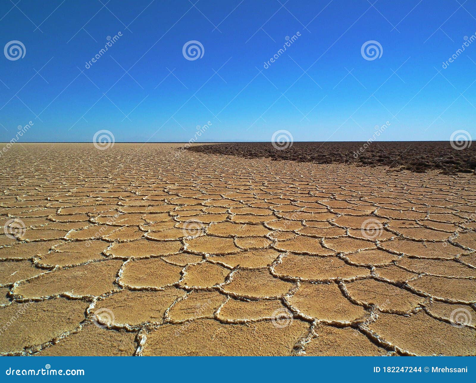 salt flat polygons in desert , iran