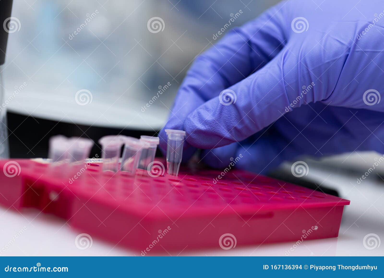 polymerase chain reaction pcr and agarose gel electrophoresis is a method of gel electrophoresis.