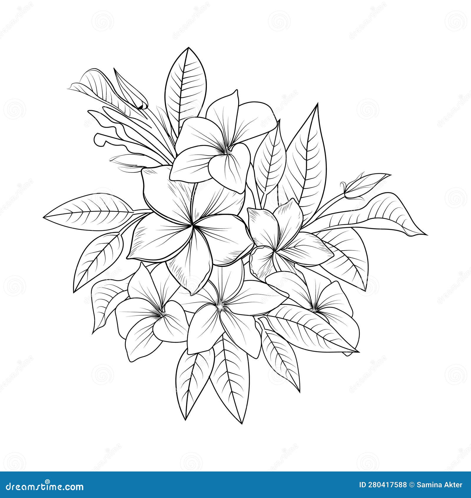 Hand drawn black outline bouquet with orchid and plumeria on a white  background isolated. Highly detailed vector illustration. Beautiful exotic  flower. Elegant woman tattoo Stock Vector | Adobe Stock