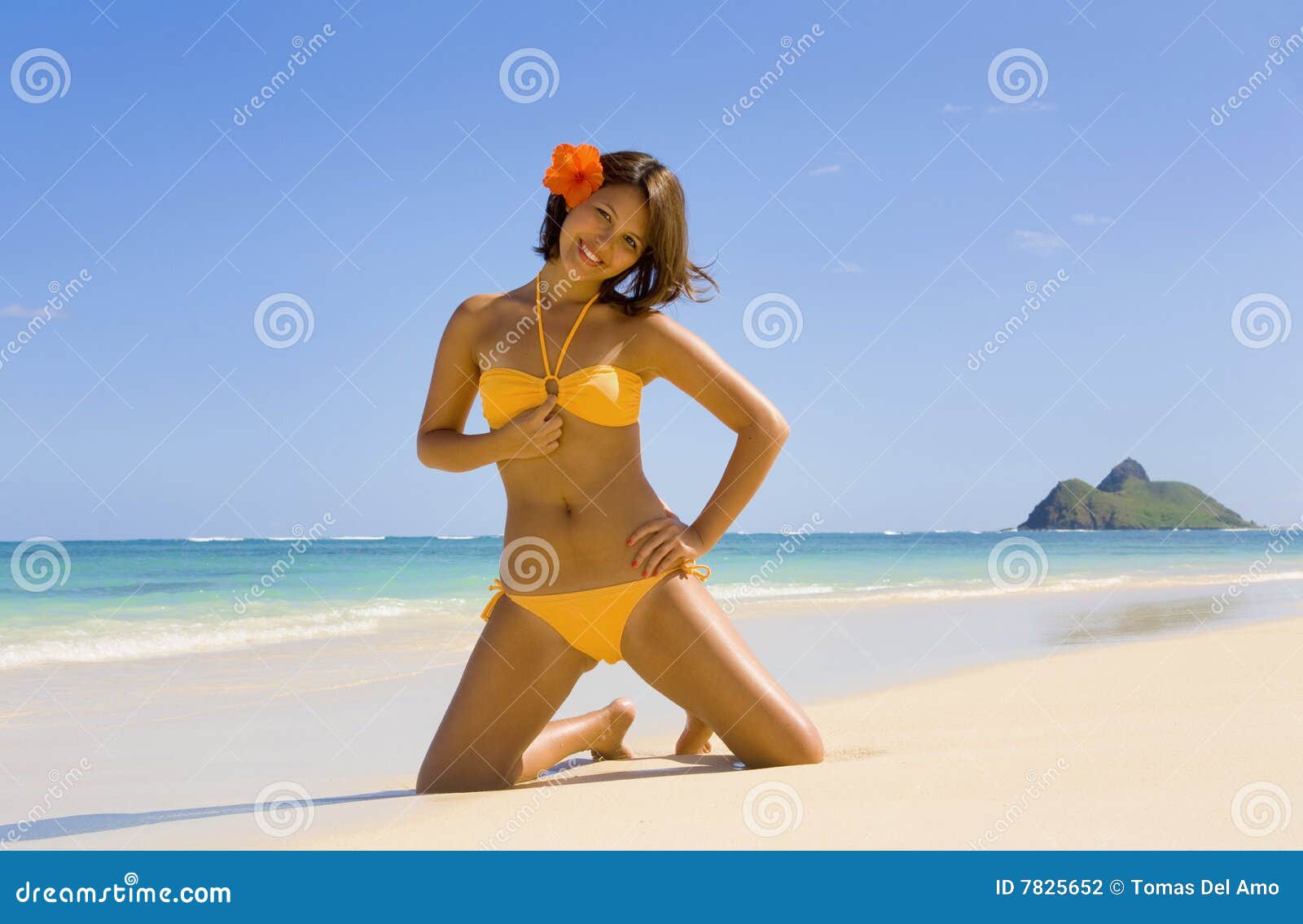 Polynesian Girl in Bikini in Hawaii Stock Photo Image of lagoon