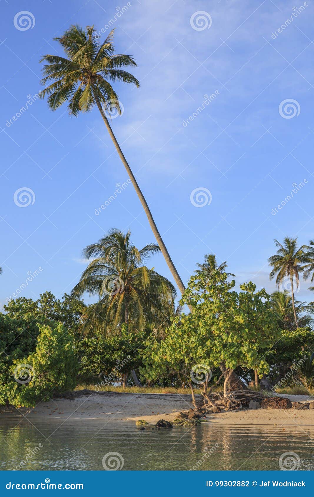 Polynesian landscape stock photo. Image of landscape - 99302882