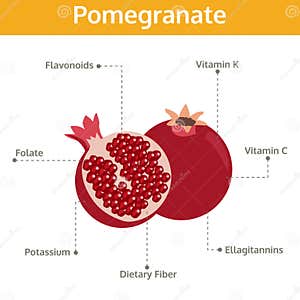 Pomegranate Calories Nutrition Facts And Health Benefits 54 OFF Pomegranate Calories Nutrition Facts And Health Benefits 54 OFF