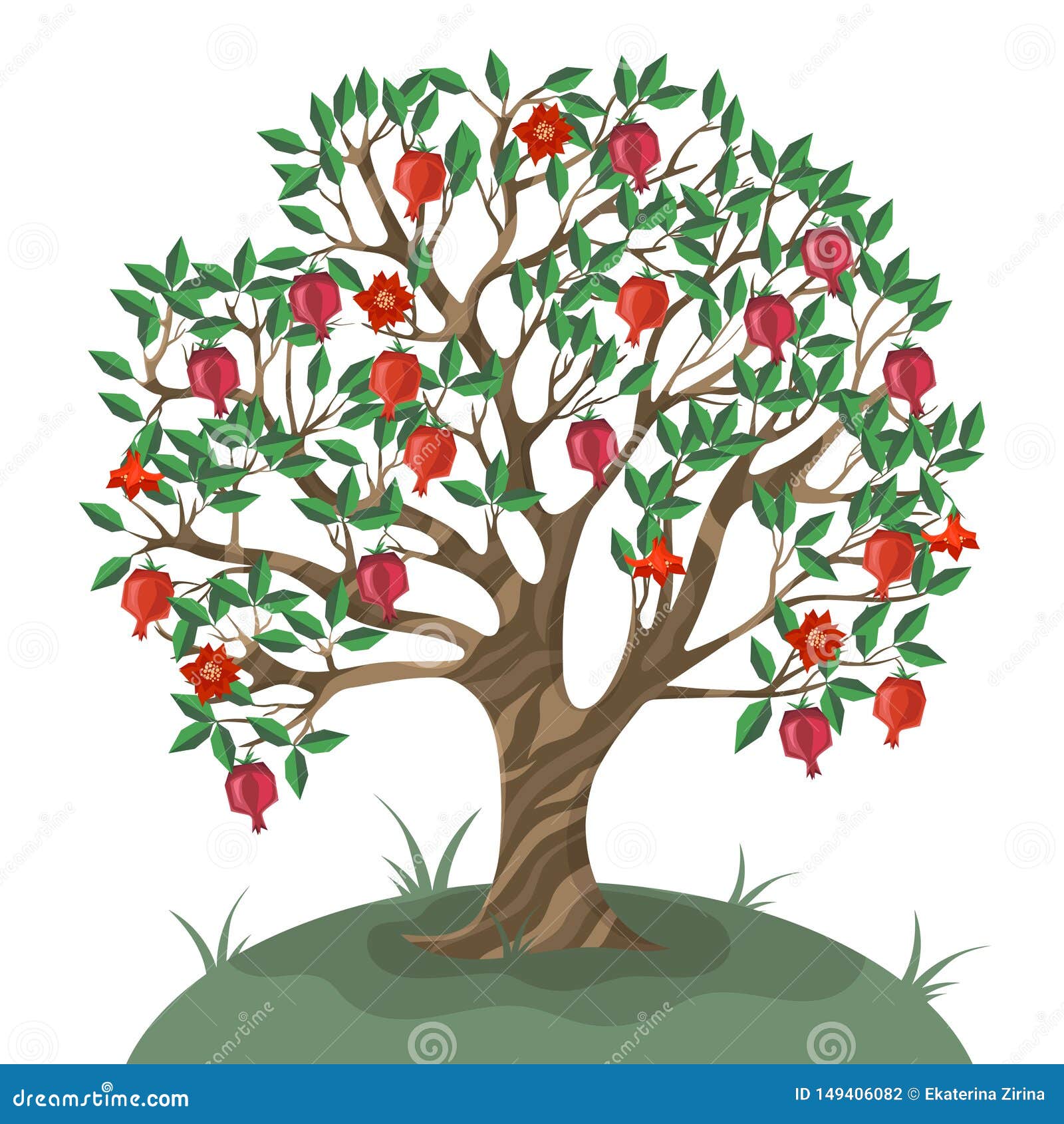 Pomegranate Tree Isolated on White Background. Vector Illustration
