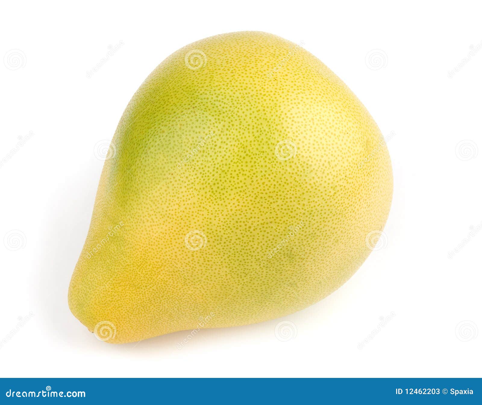 Pomelo stock image. Image of grapefruit, citrus, pamela 12462203