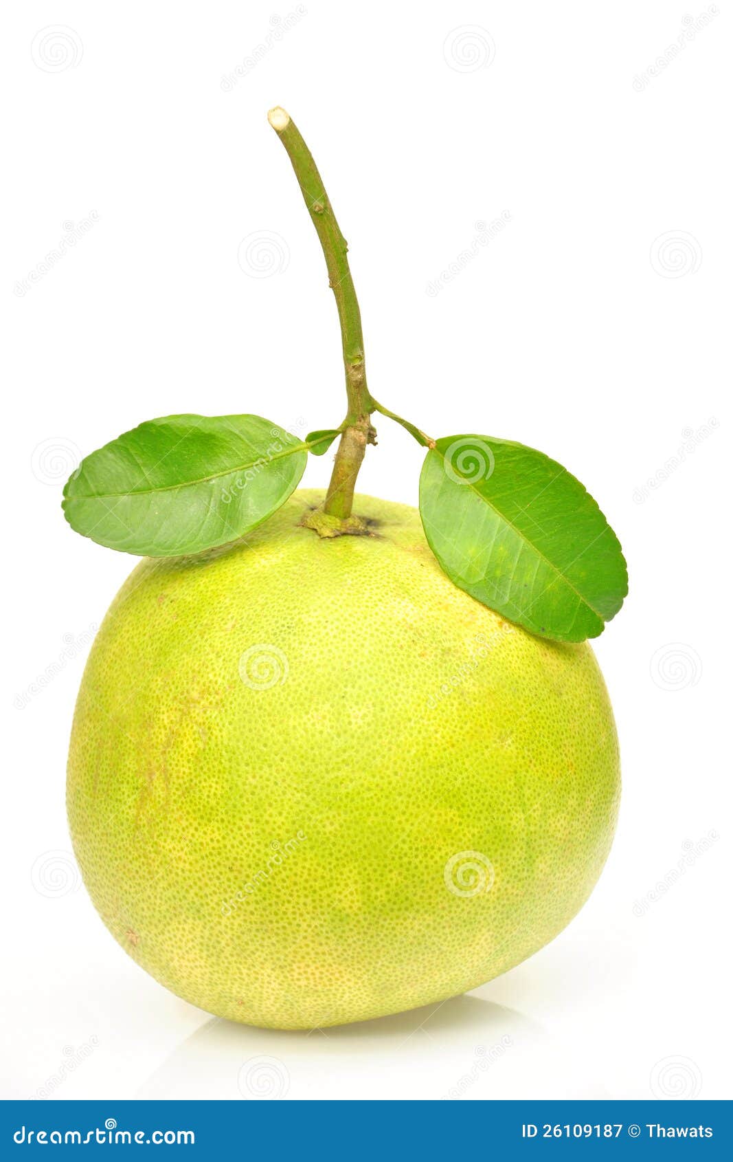 Pomelo imagem de stock. Imagem de folha, toranja, fundo 26109187