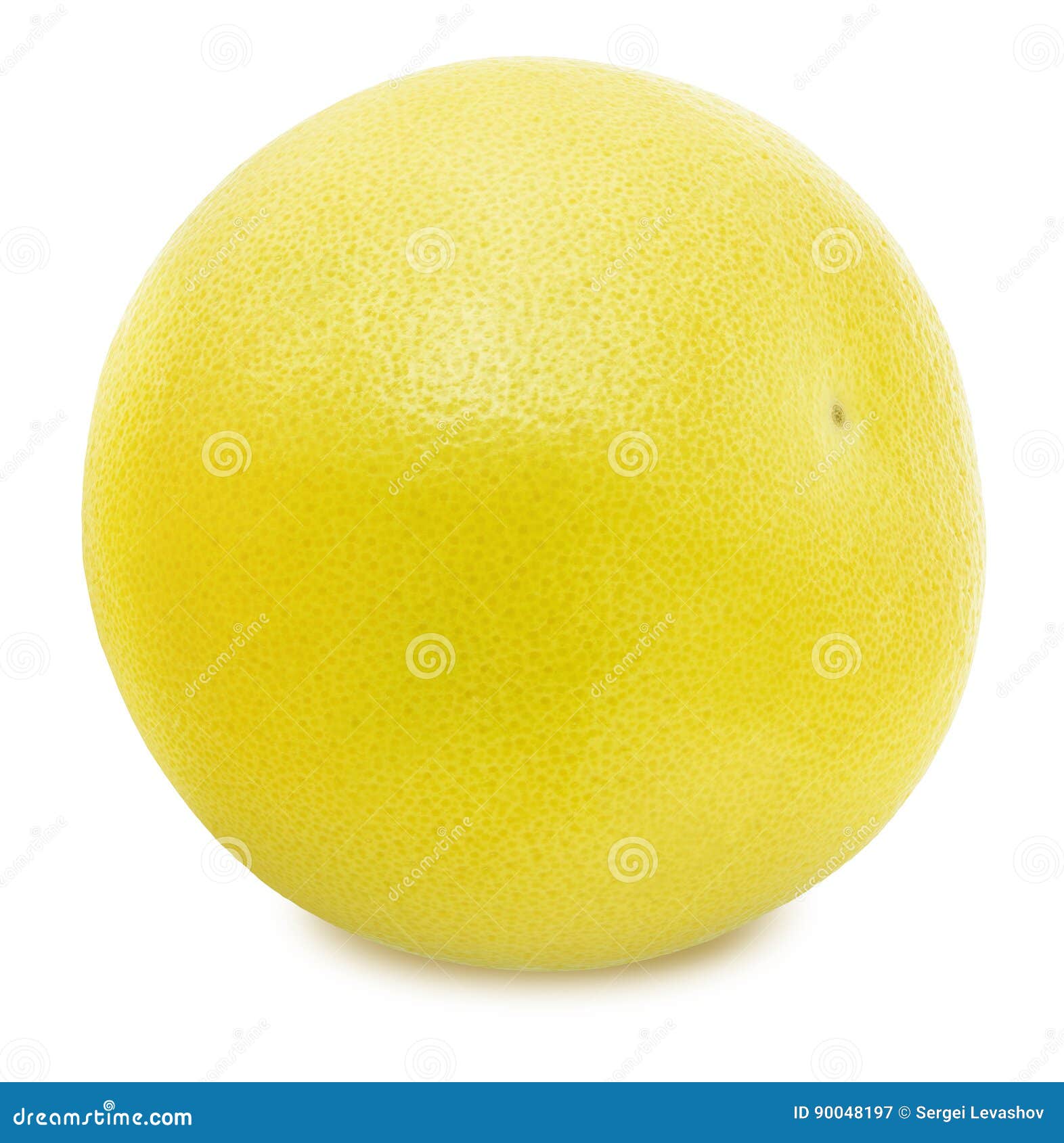 Pomelo Blanco Aislado En Un Fondo Blanco Imagen de archivo Imagen de fondo, acortar 90048197