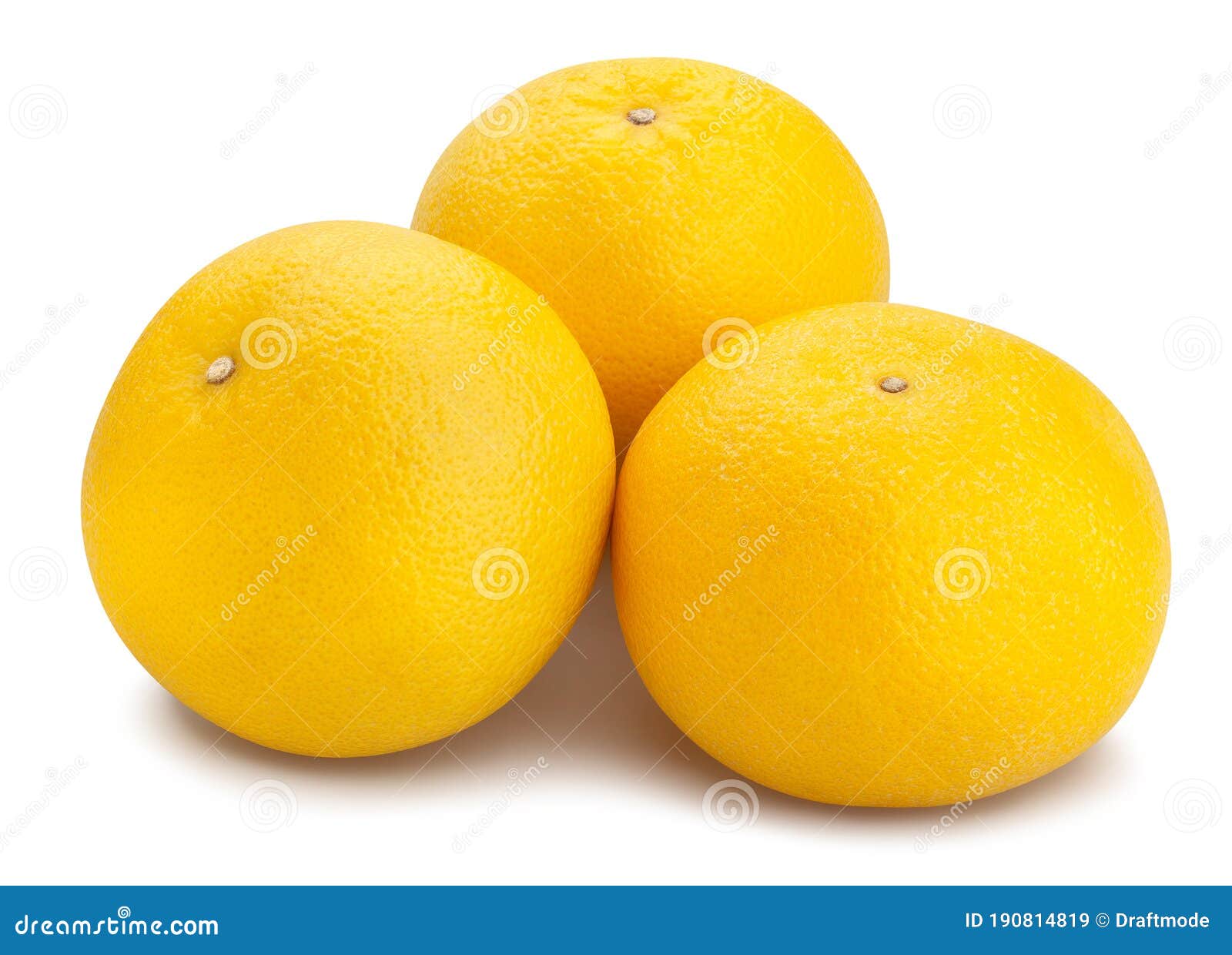 Pomelo blanco imagen de archivo. Imagen de entero, vivo 190814819