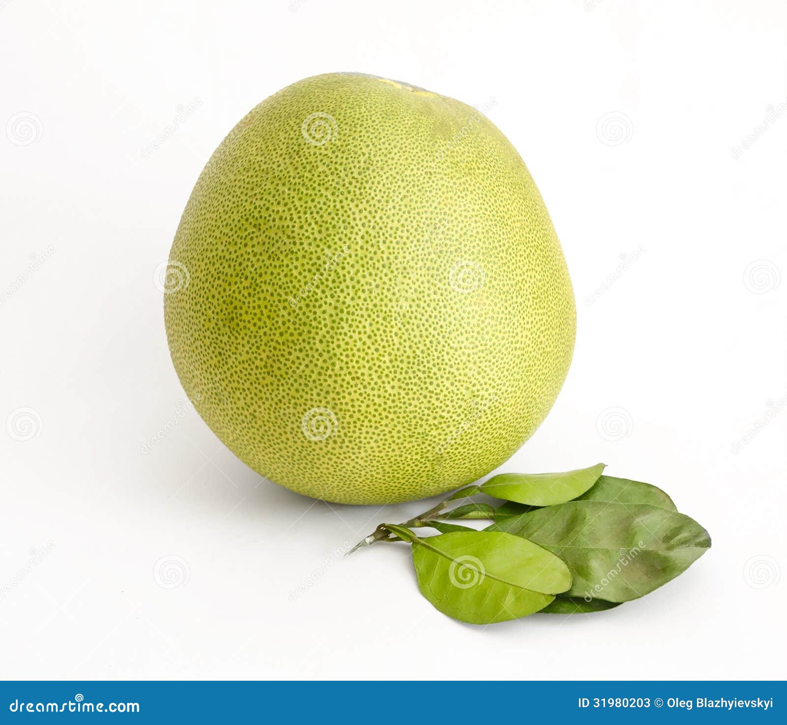 Pomelo or Chinese Grapefruit Stock Image Image of maxima, fruit 31980203