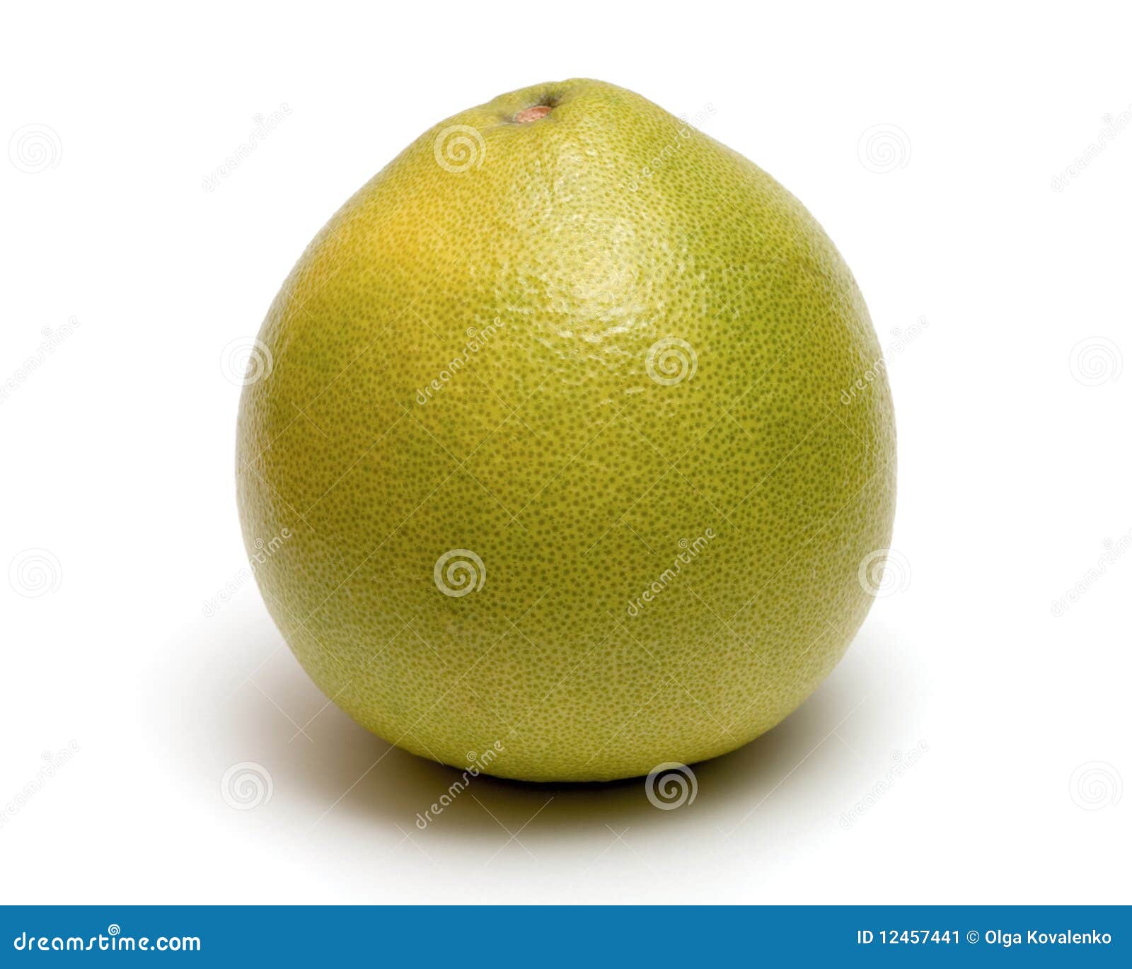 Pomelo citrus stock image. Image of cutting, sweet, fruits 12457441