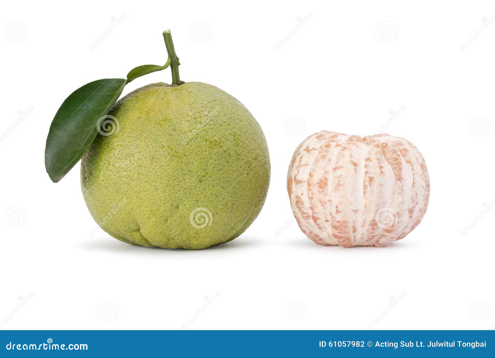 Pomelo citrus fruit stock photo. Image of dessert, fresh 61057982
