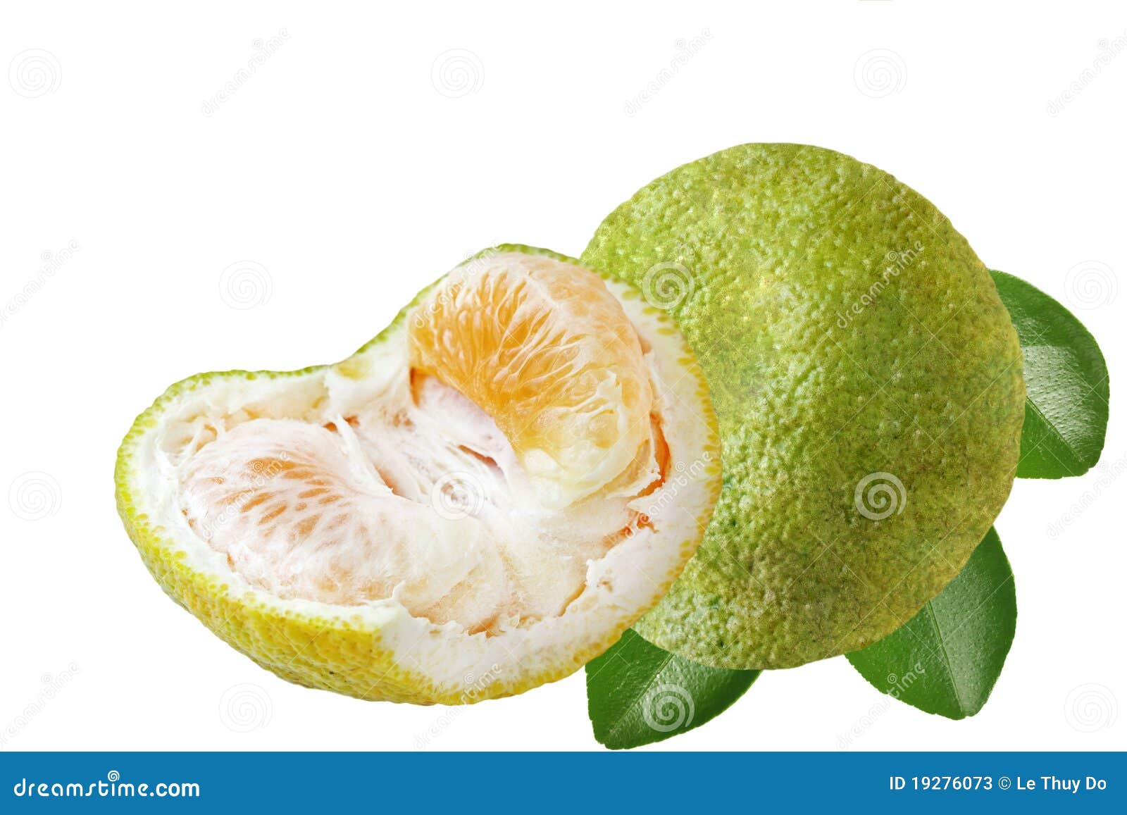 Pomelo del Ugli de Jamaica imagen de archivo. Imagen de entero 19276073