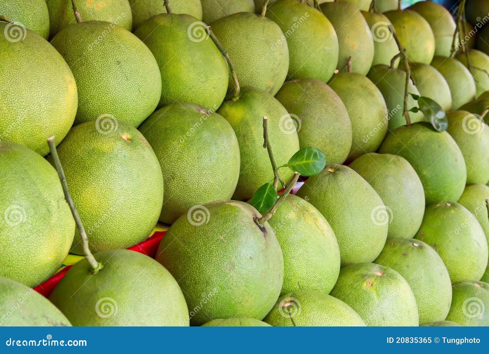 Pomelo fruit stock image. Image of orange, white, grapefruit 20835365