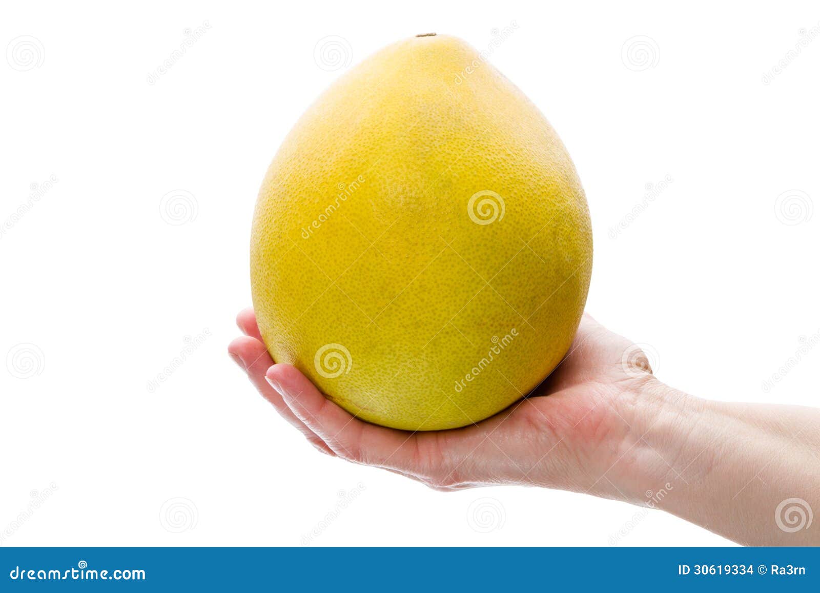 Pomelo in hand stock photo. Image of healthy, human, orange 30619334