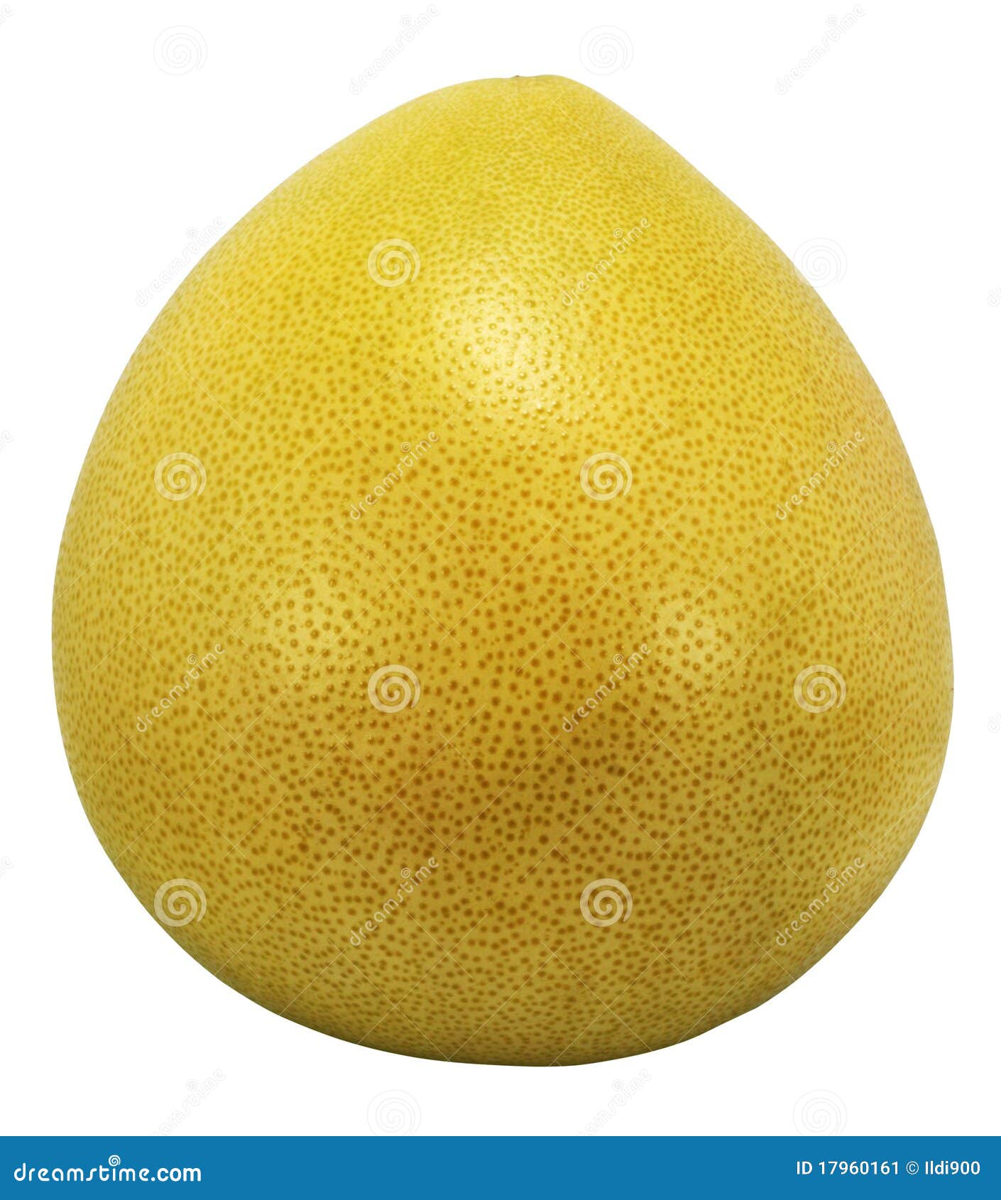 Pomelo O Recorte Chino Del Pomelo. Imagen de archivo Imagen de fruta, tropical 17960161