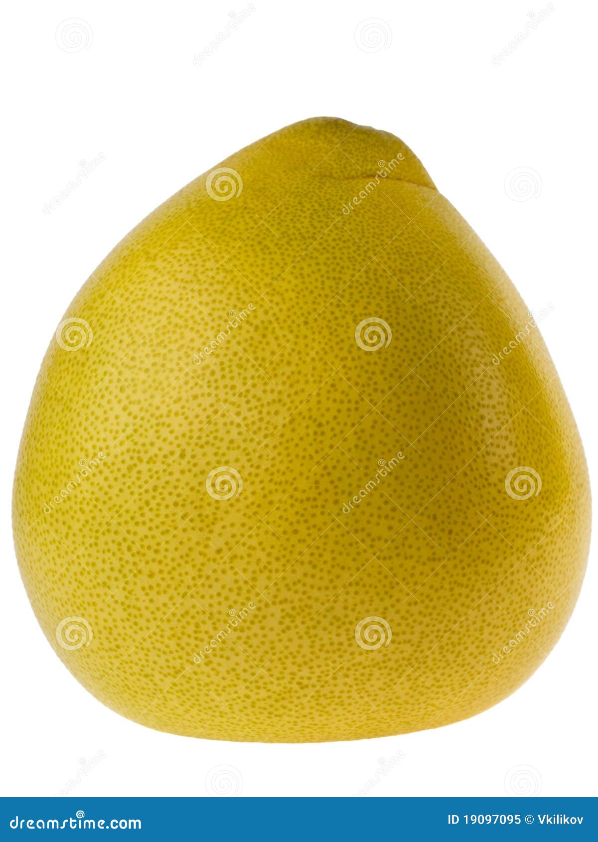 Pomelo On White Royalty Free Stock Photo Image 19097095
