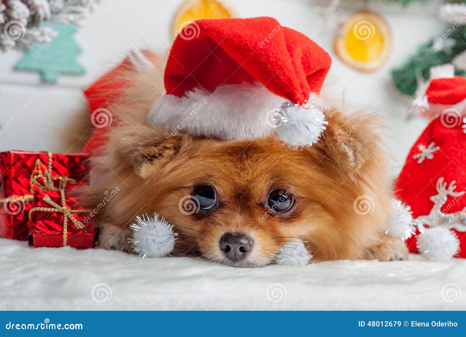 5+ Thousand Christmas Pom Pom Royalty-Free Images, Stock Photos & Pictures