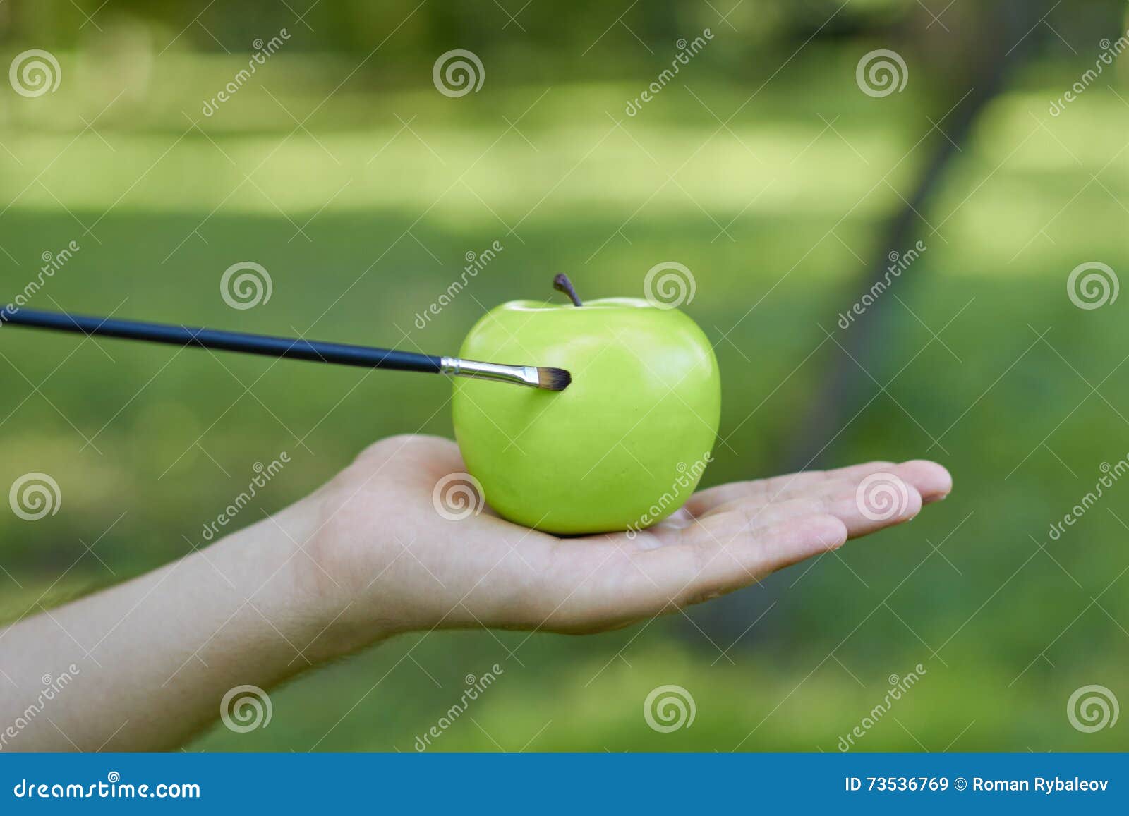 Pomme De Vert D Aspiration De Gland Dans Des Mains D Un Homme Image Stock Image Du Sagesse Objet Pomme De Vert D Aspiration De Gland Dans Des Mains D Un Homme Image Stock Image Du Sagesse Objet