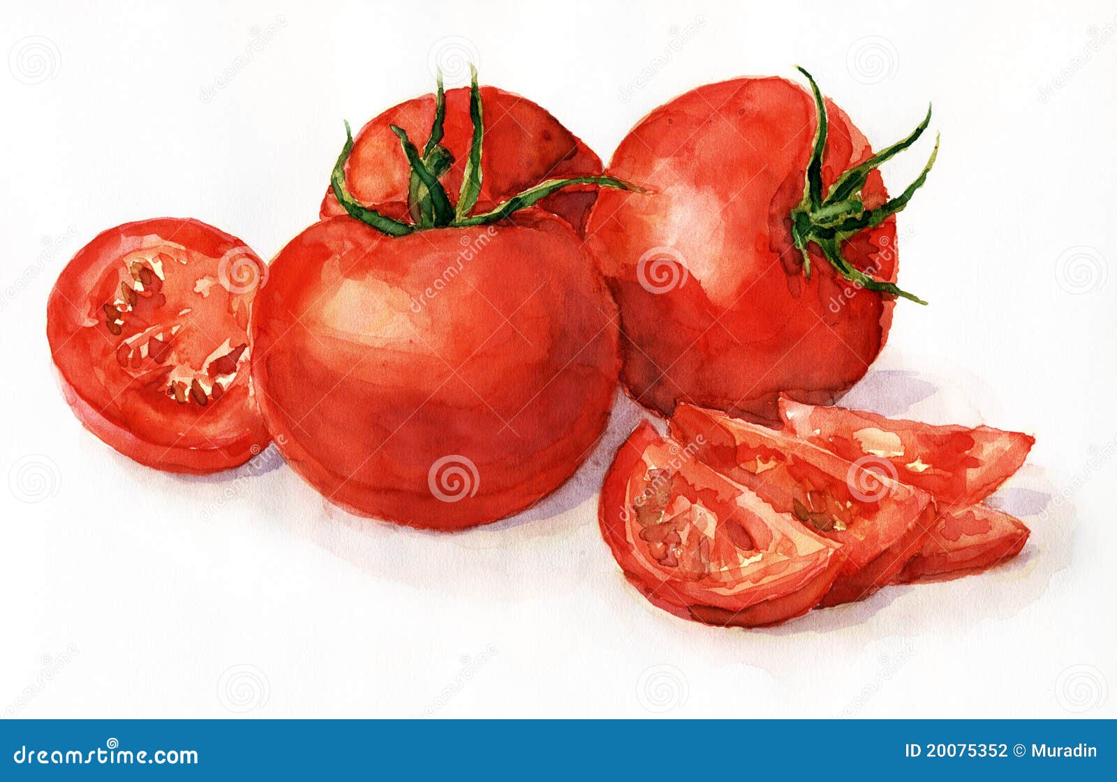 Pomodori dell acquerello Fotografia Stock