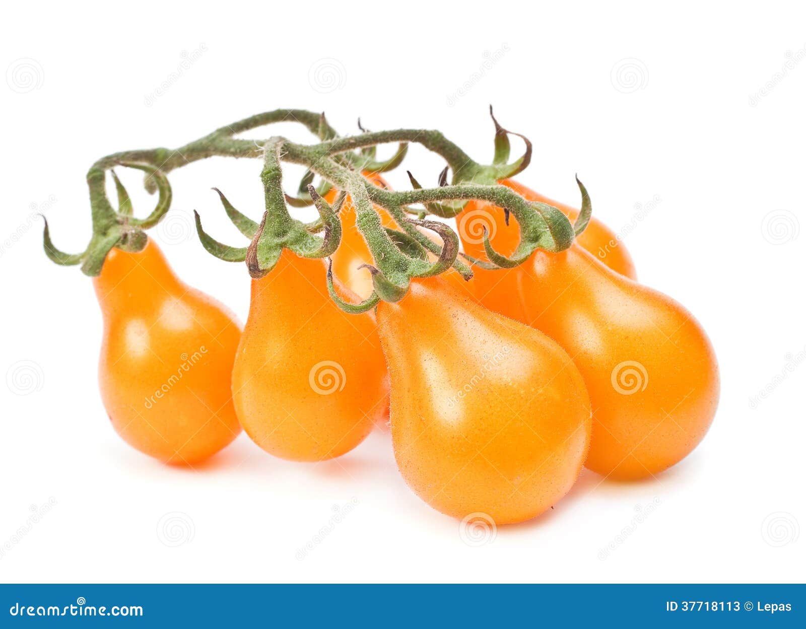 Pomodoro Ciliegino Giallo | L'Orto Di Casa Mia - Foto 8