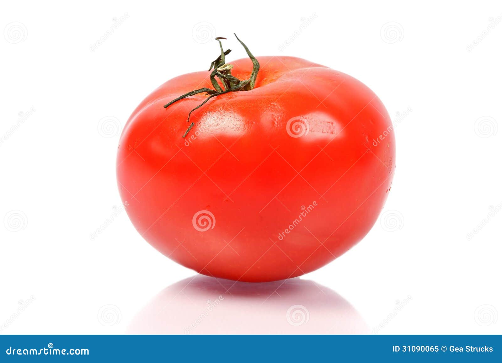 SEMI DI POMODORO RIO GRANDE FRANCHI SEMENTI - Foto 10