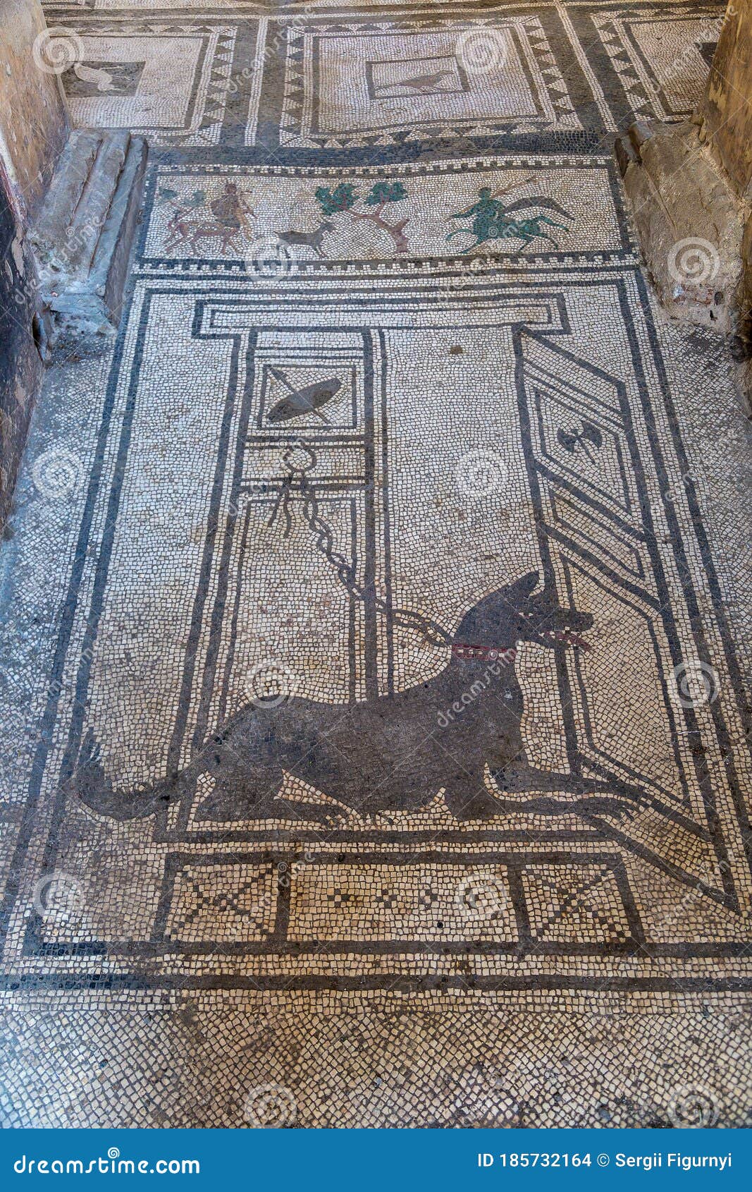 pompeii volcano dog