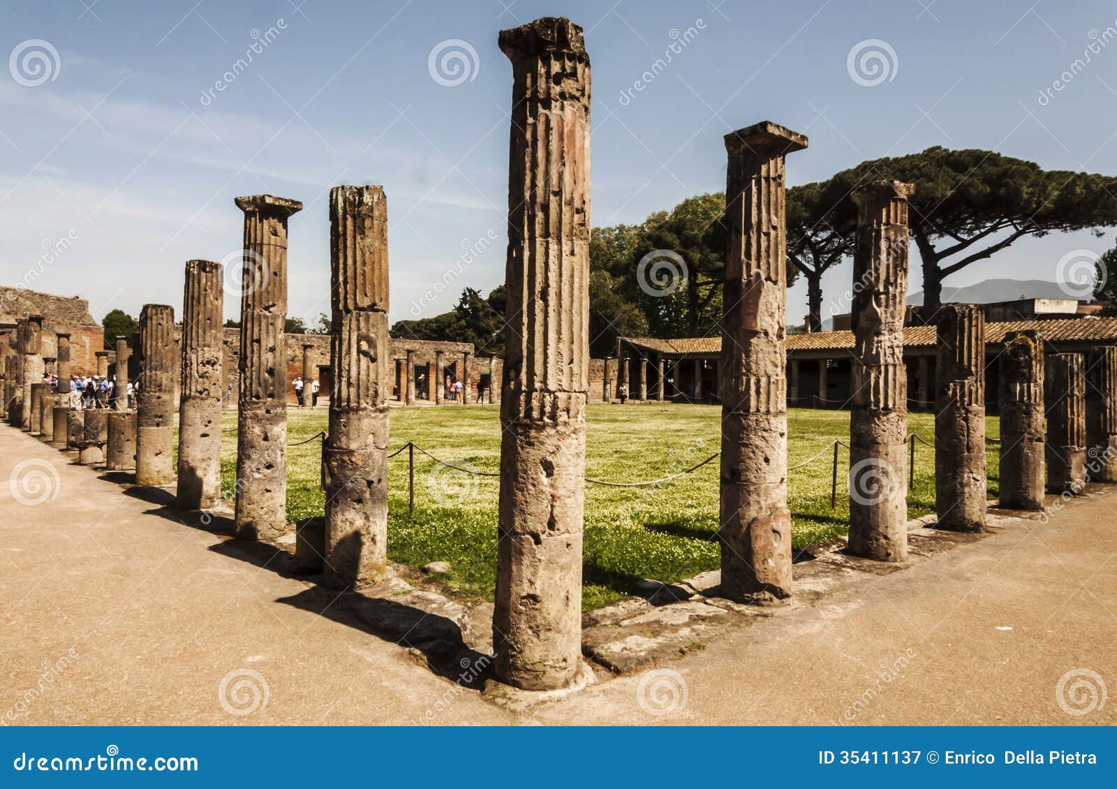 pompeii palestra