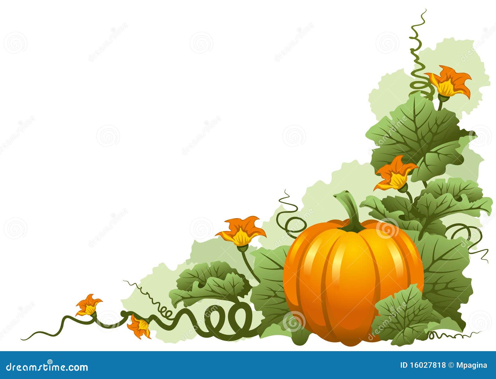 Vector illustratie van rijpe oktober pompoen