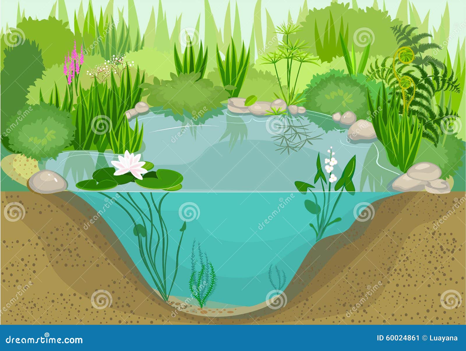 Pond stock vector. Illustration of cartoon, amphibious - 59091598