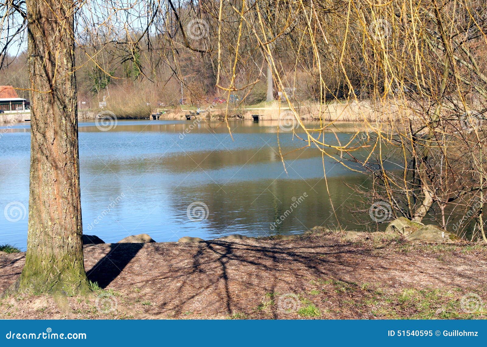 Pond bank stock image. Image of bank, houses, lake, rest 51540595