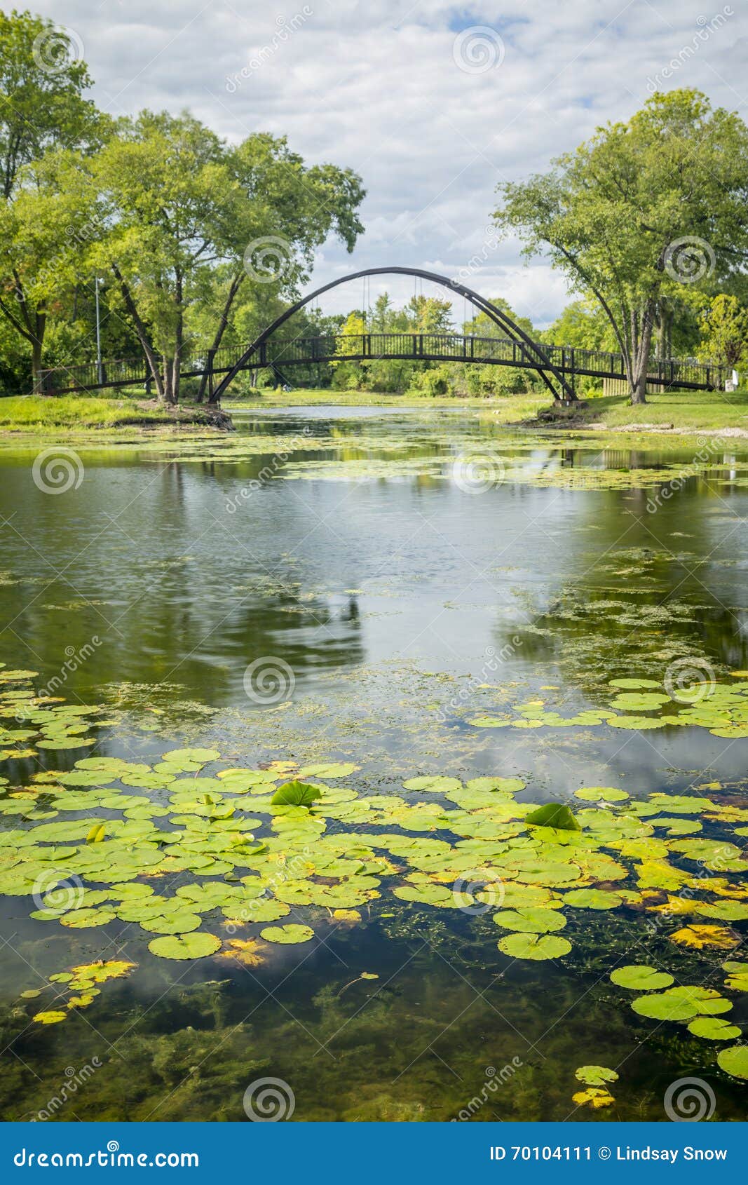 Pond and Bridge stock image. Image of bridge, nature 70104111