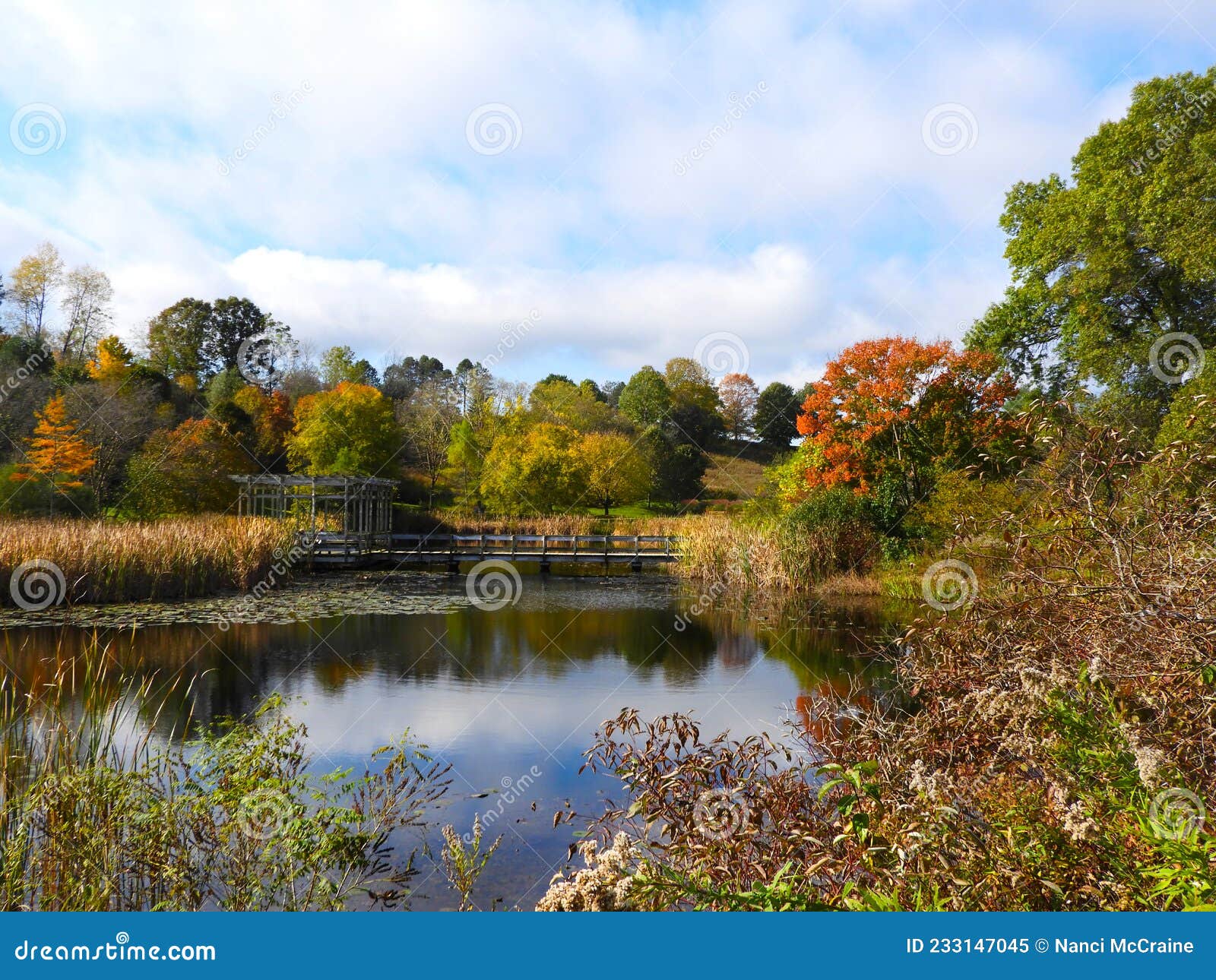 Houston Pond at Cornell Botanic Gardens during Autumn Stock Image ...