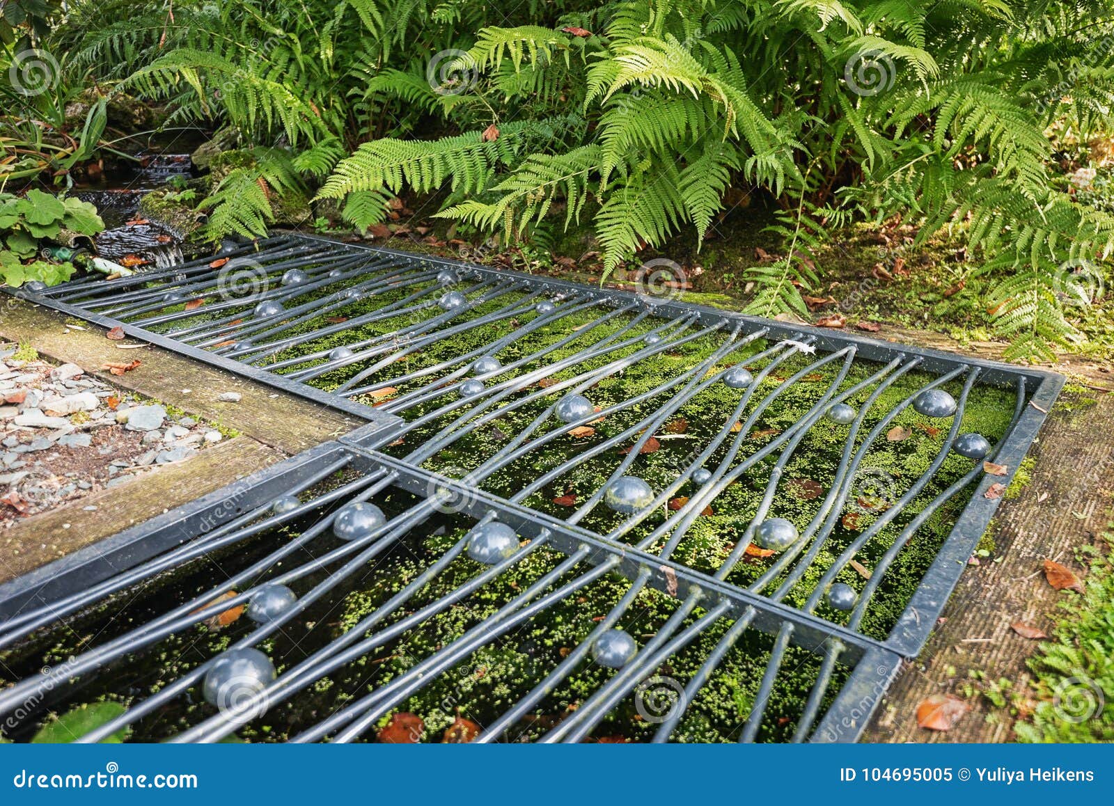 Pond Covered with a Decorative Iron Grid Stock Image Image of green