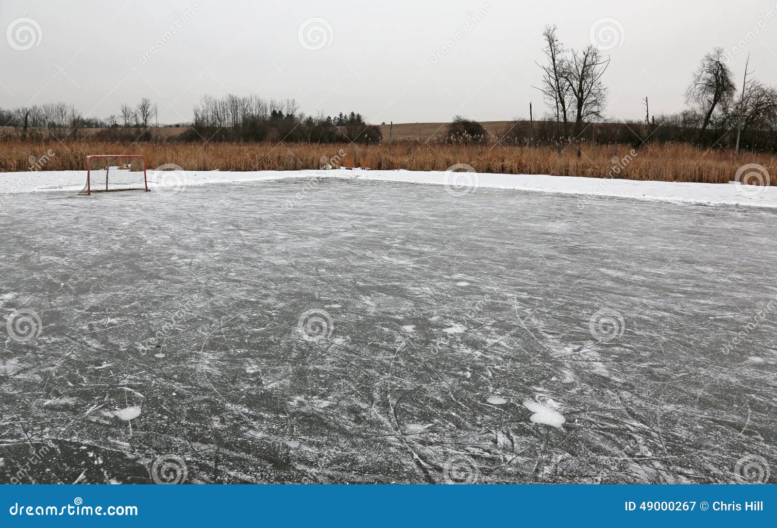 6,599 Pond Net Stock Photos - Free & Royalty-Free Stock Photos from  Dreamstime