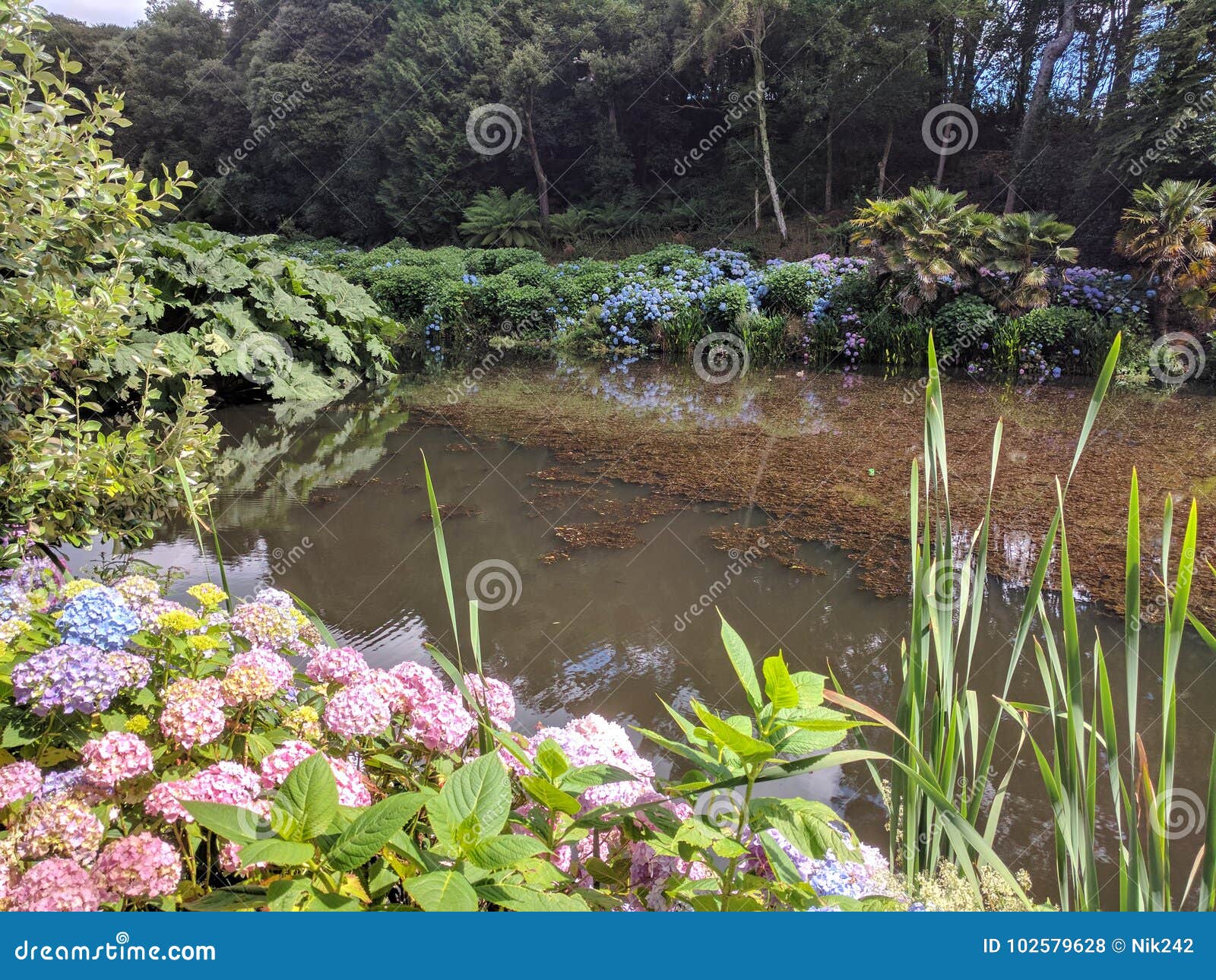English garden pond stock photo. Image of bridge, gardening 102579628