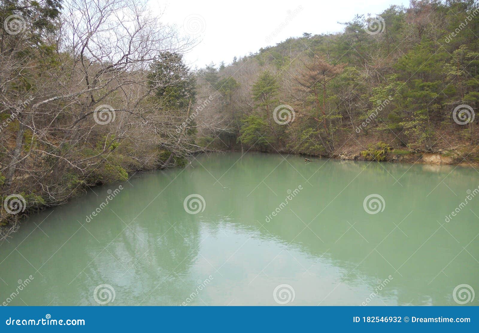 Pond in Japan stock photo. Image of deep, nature, japan - 182546932