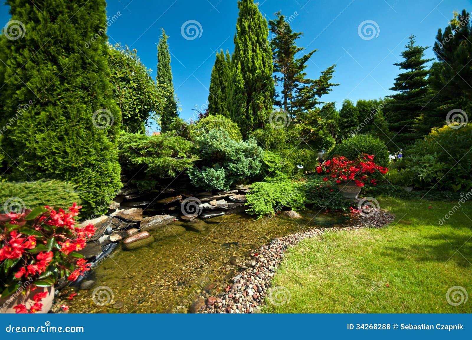 pond in landscaped garden