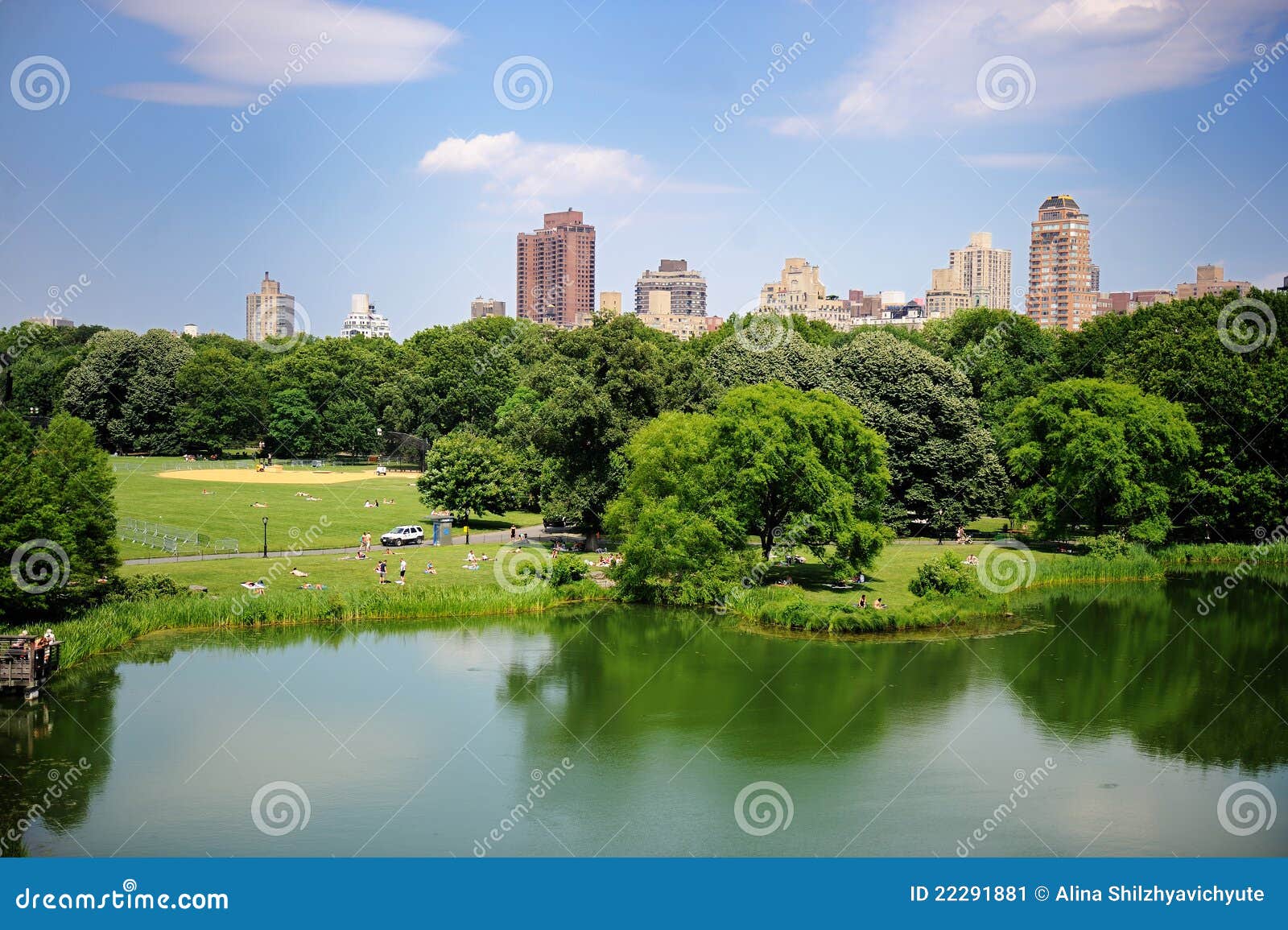 Central Park Summer Pond