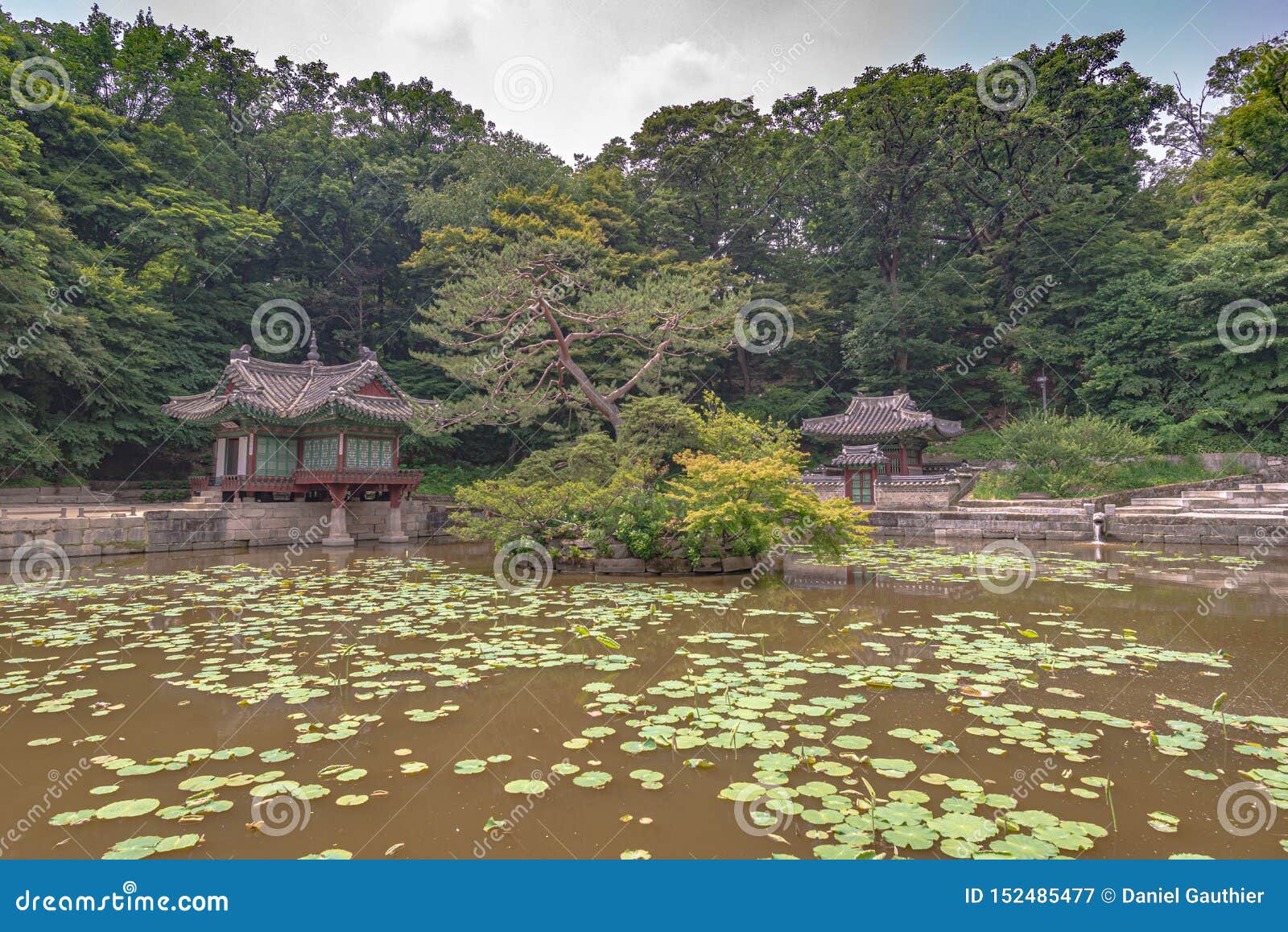 Pond Secret Garden Of The Changdeokgung Palace Stock Image