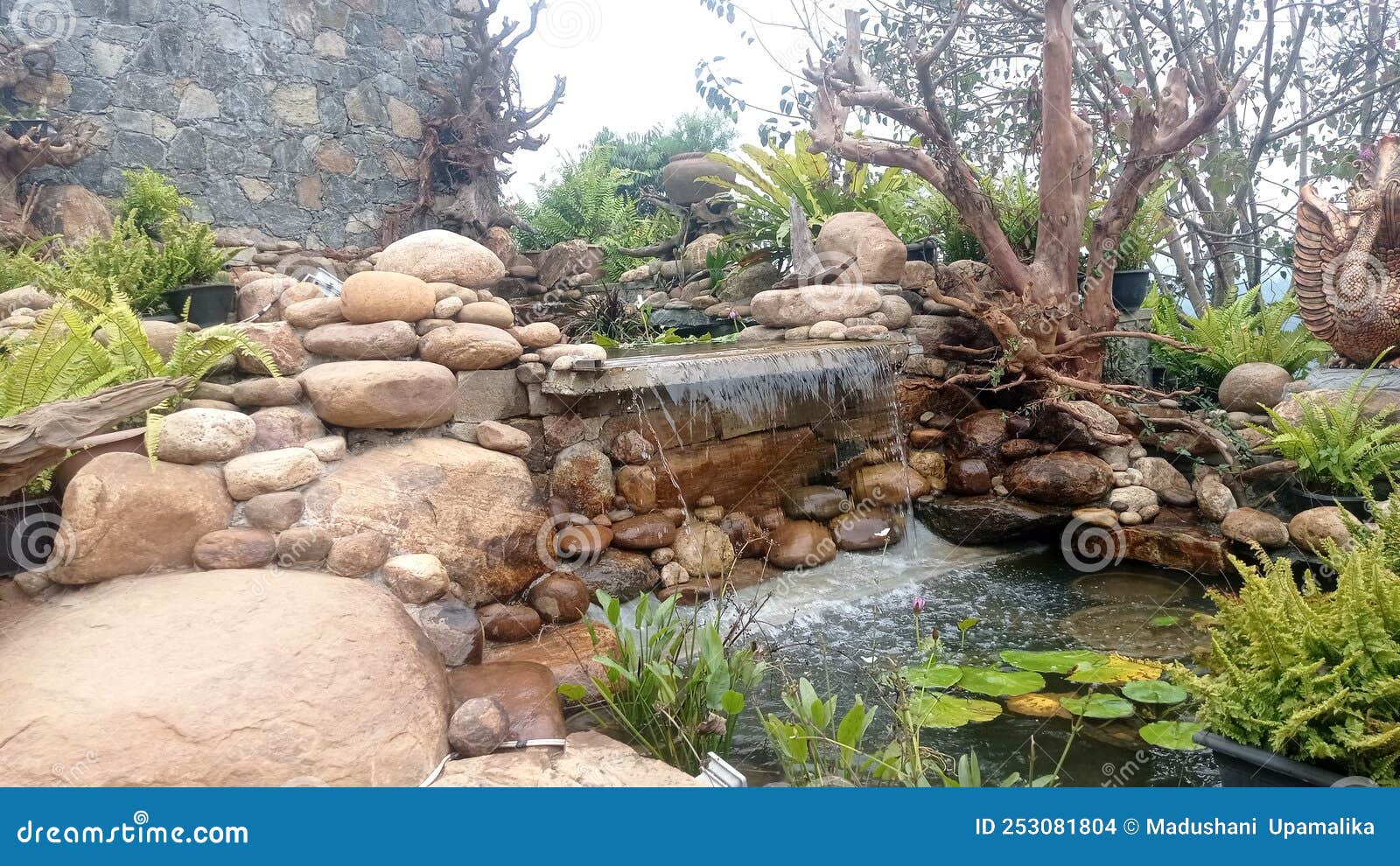 A pond in Sri Lanka stock photo. Image of kumbawela 253081804