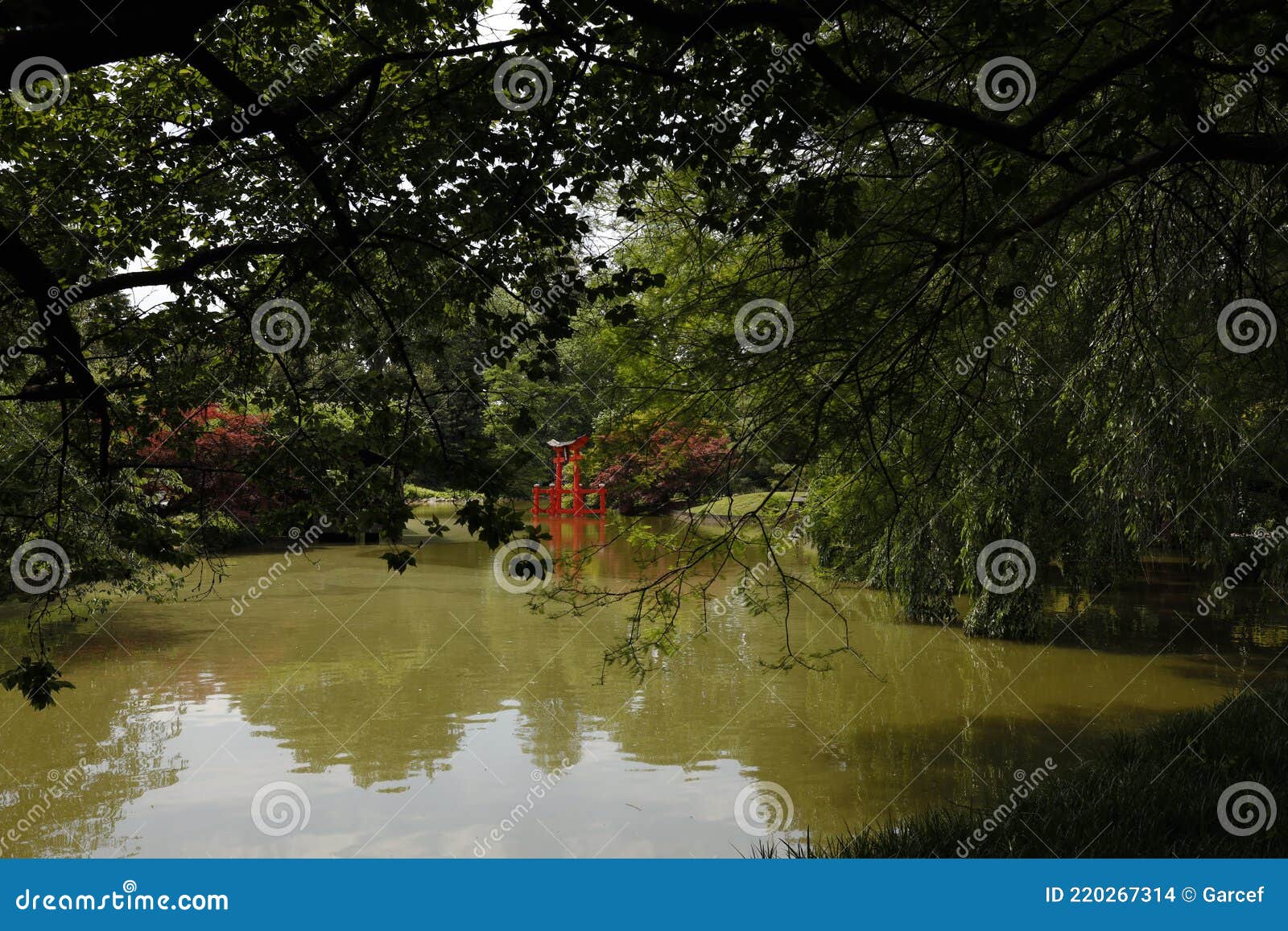 Pond with Trees and a Japanese Gate Stock Photo - Image of pond, park ...
