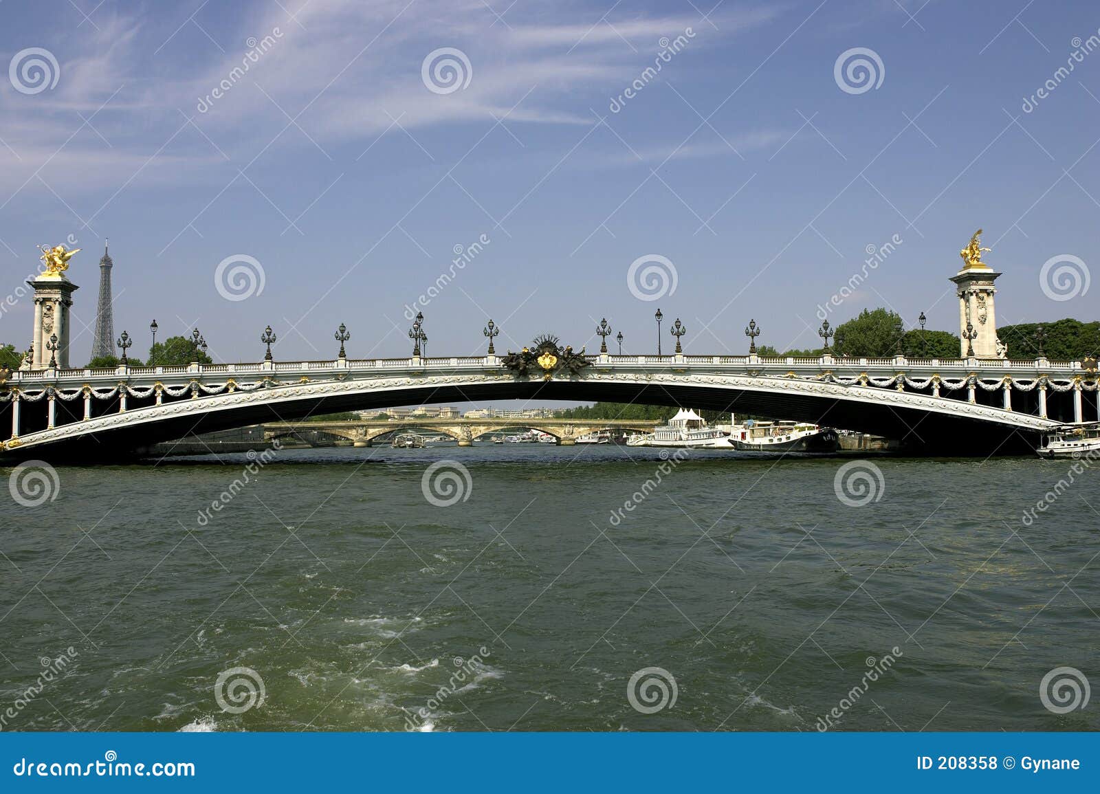 pont alexandre iii bridge over the river seine paris france